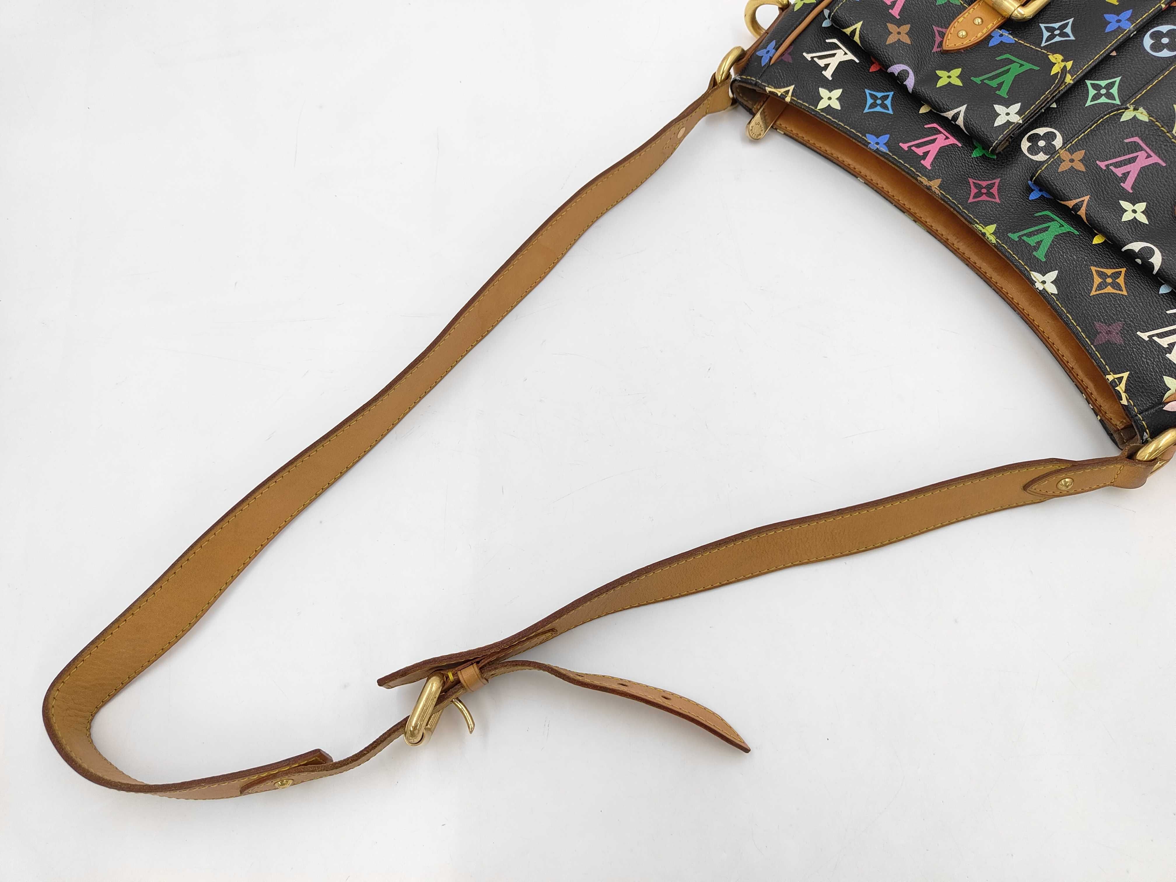 LV Lodge Multicolor Shoulder Bag — view 5