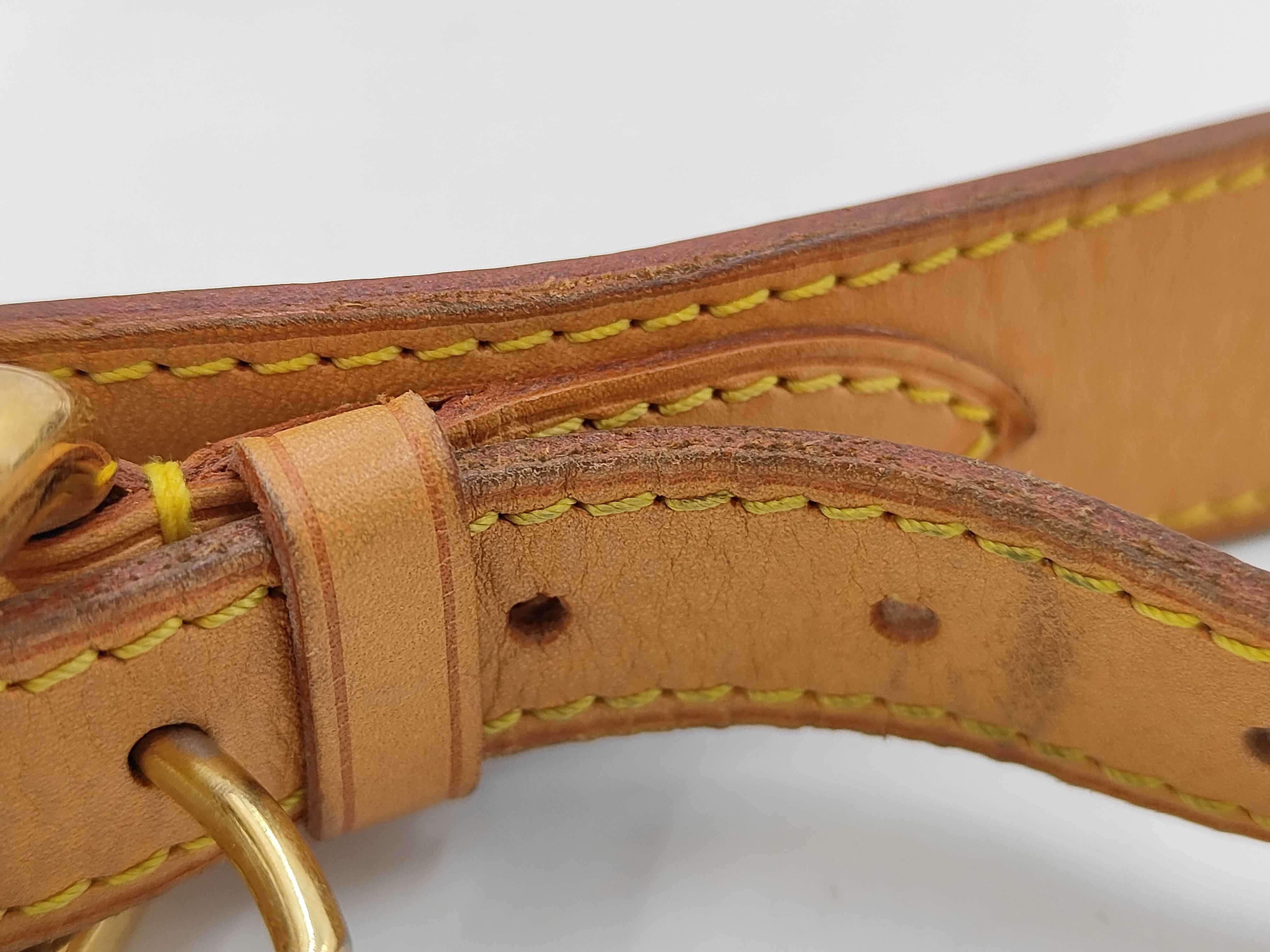 LV Lodge Multicolor Shoulder Bag — view 6
