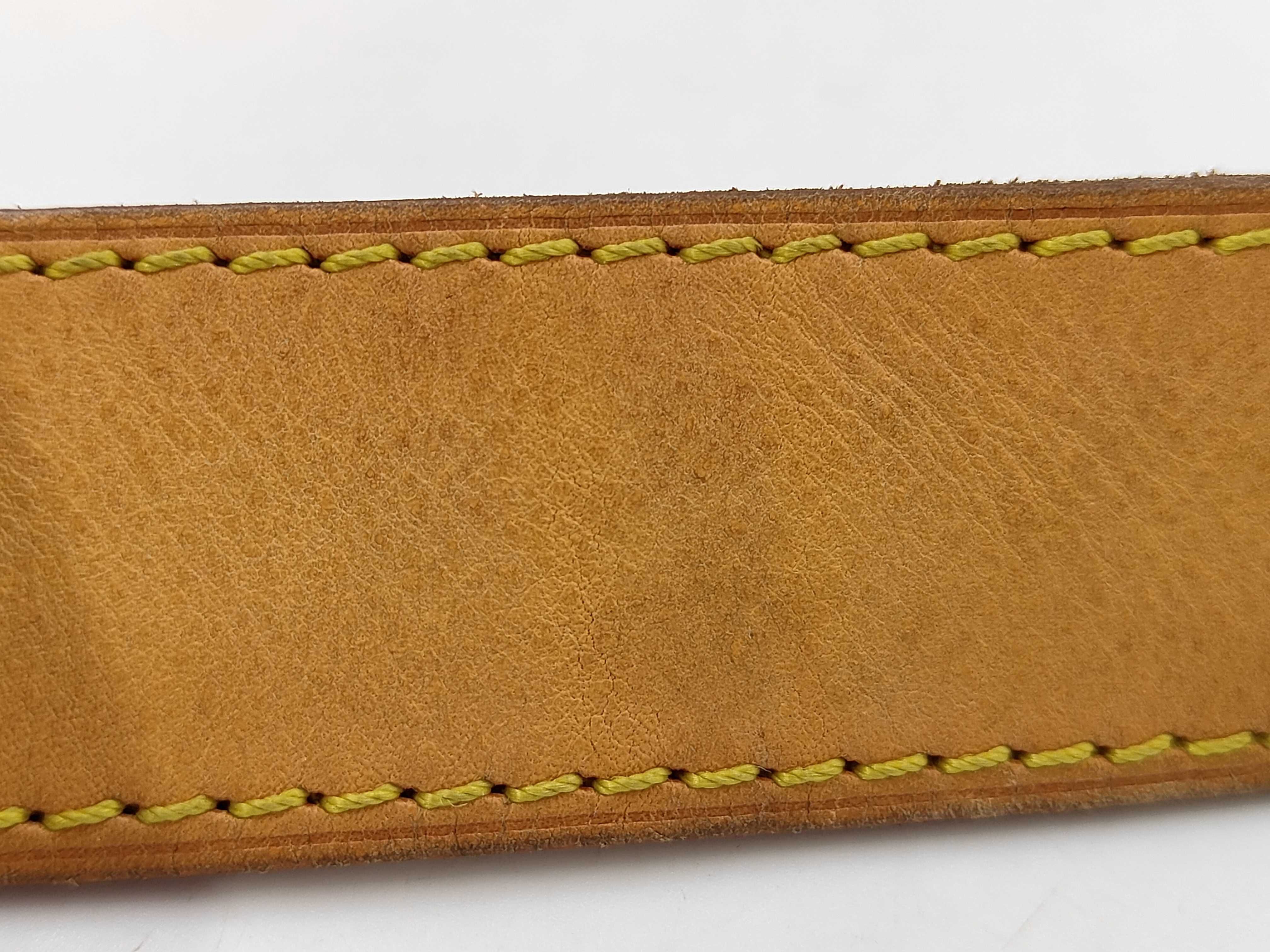 LV Lodge Multicolor Shoulder Bag — view 8