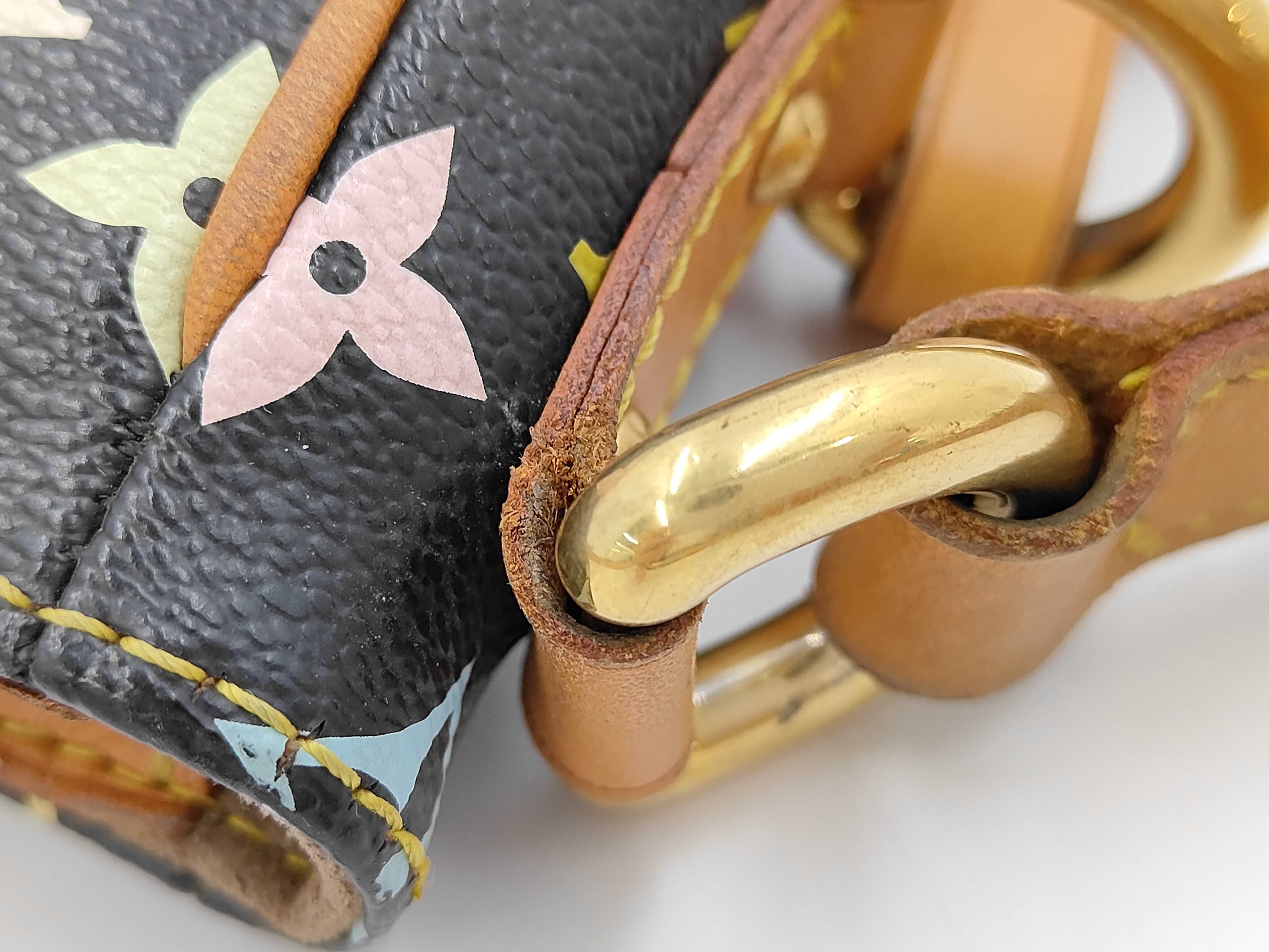 LV Lodge Multicolor Shoulder Bag — view 9