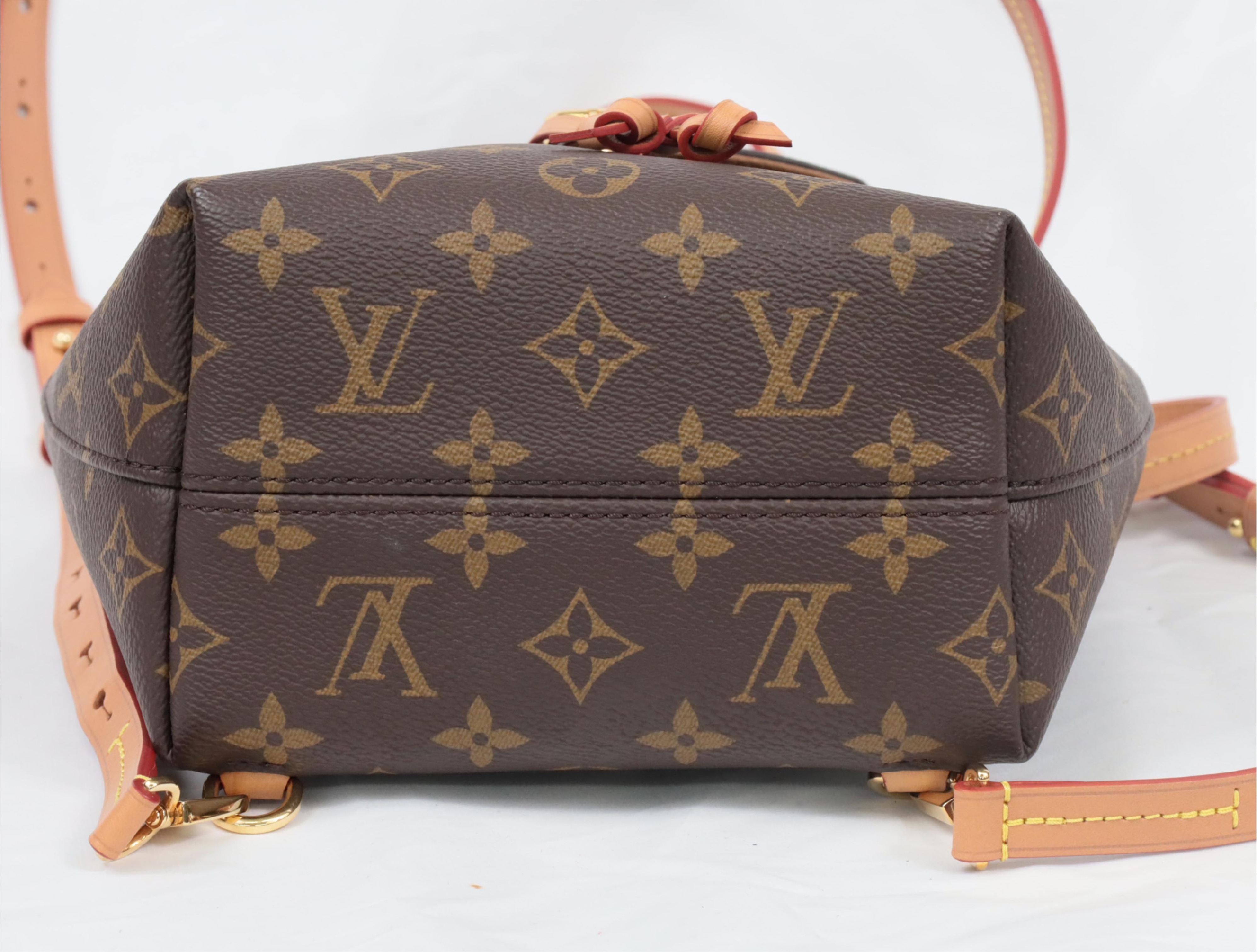 Monogram Montsouris NMBB M45502 Backpack — view 3