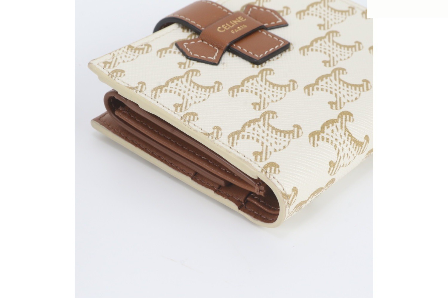 Triomphe Canvas Small Strap Wallet — view 4
