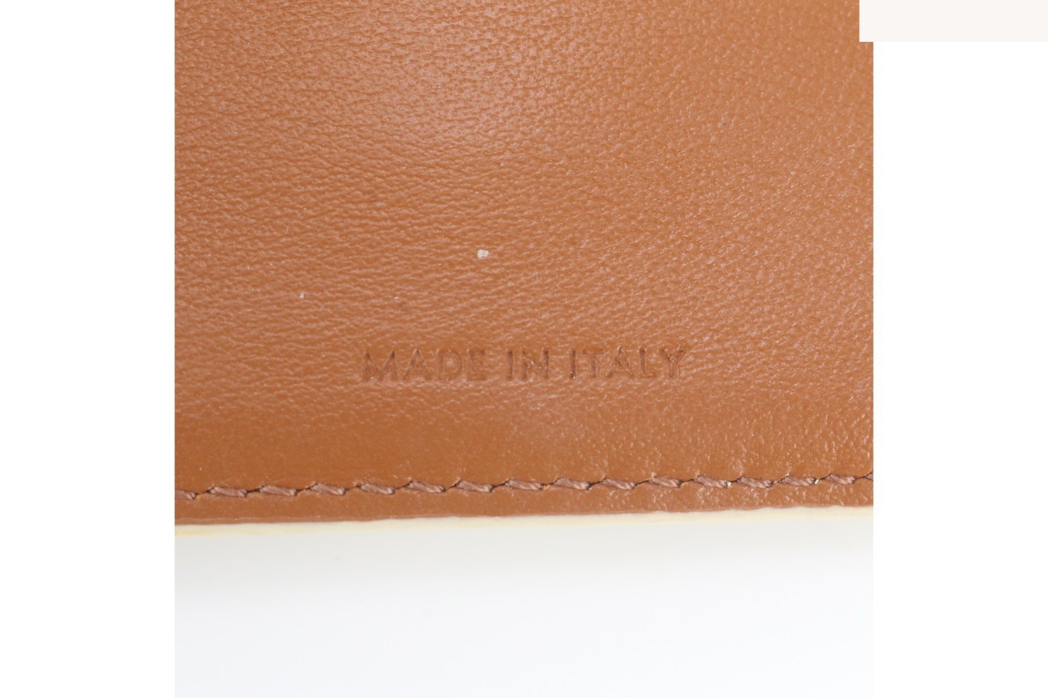 Triomphe Canvas Small Strap Wallet — view 10
