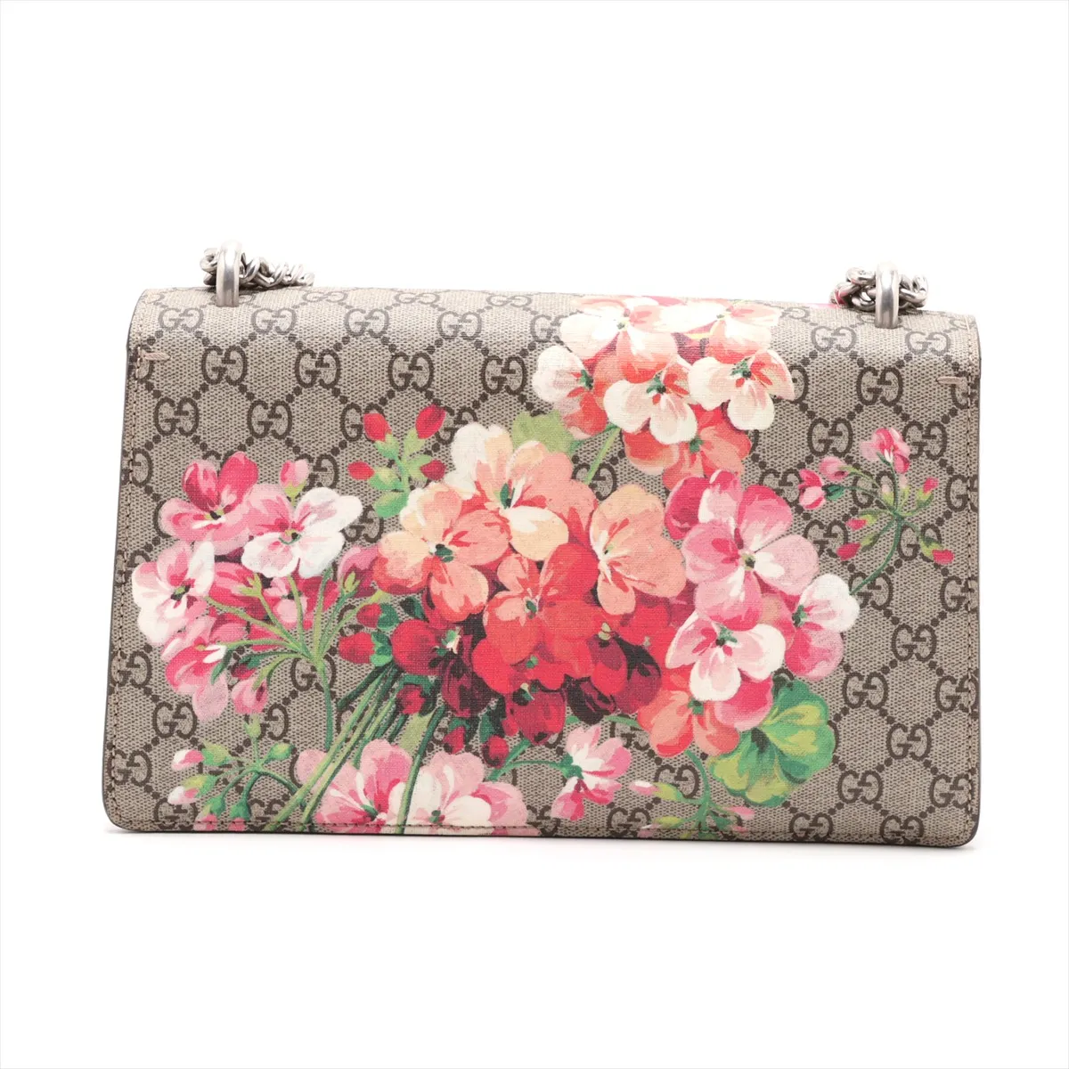 GG Supreme Dionysus PVC x Suede Chain Shoulder Bag, Beige x Red, 400249 — view 2