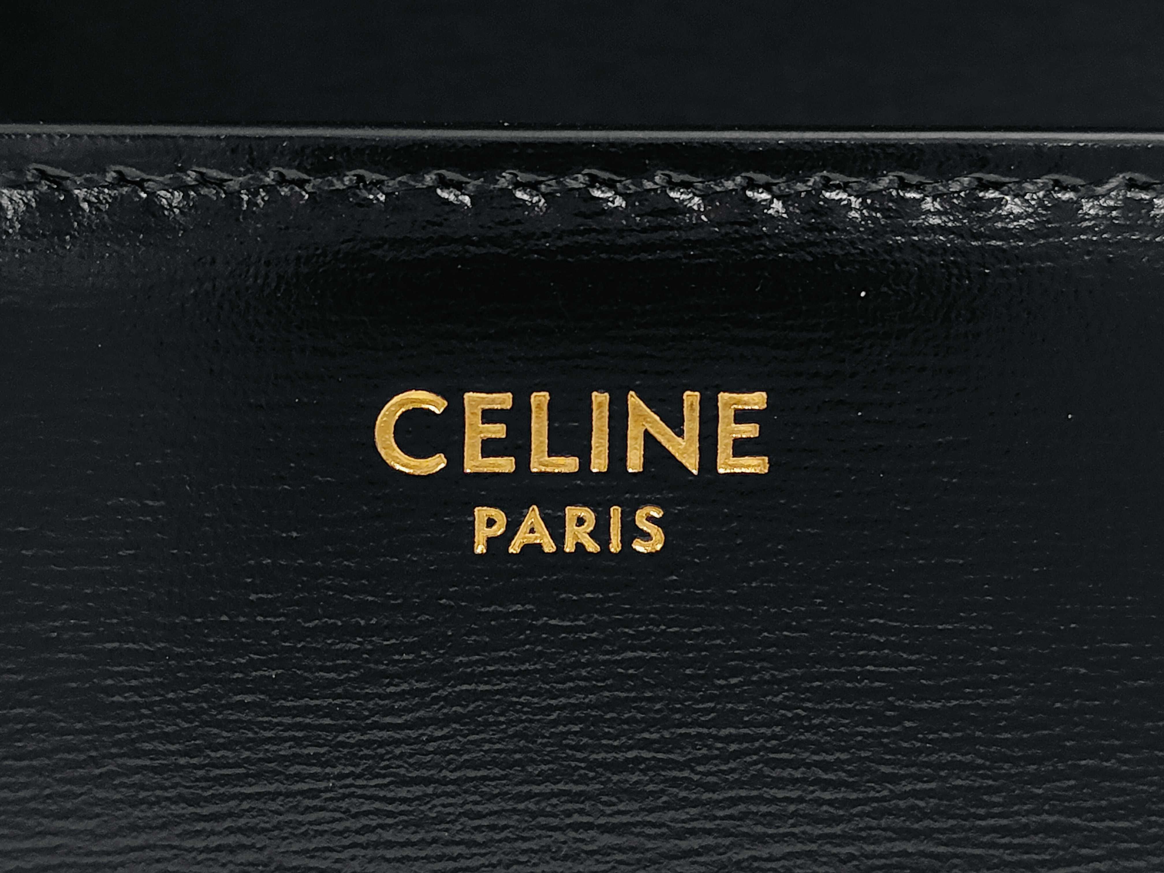 Triomphe Black Calfskin Leather Shoulder Bag with Gold Hardware and Leather Strap — view 9
