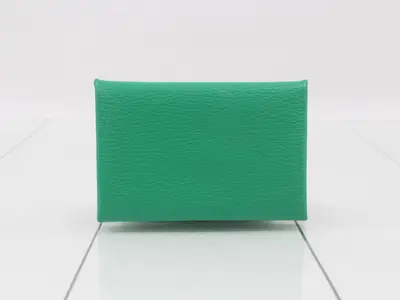Coin case, green