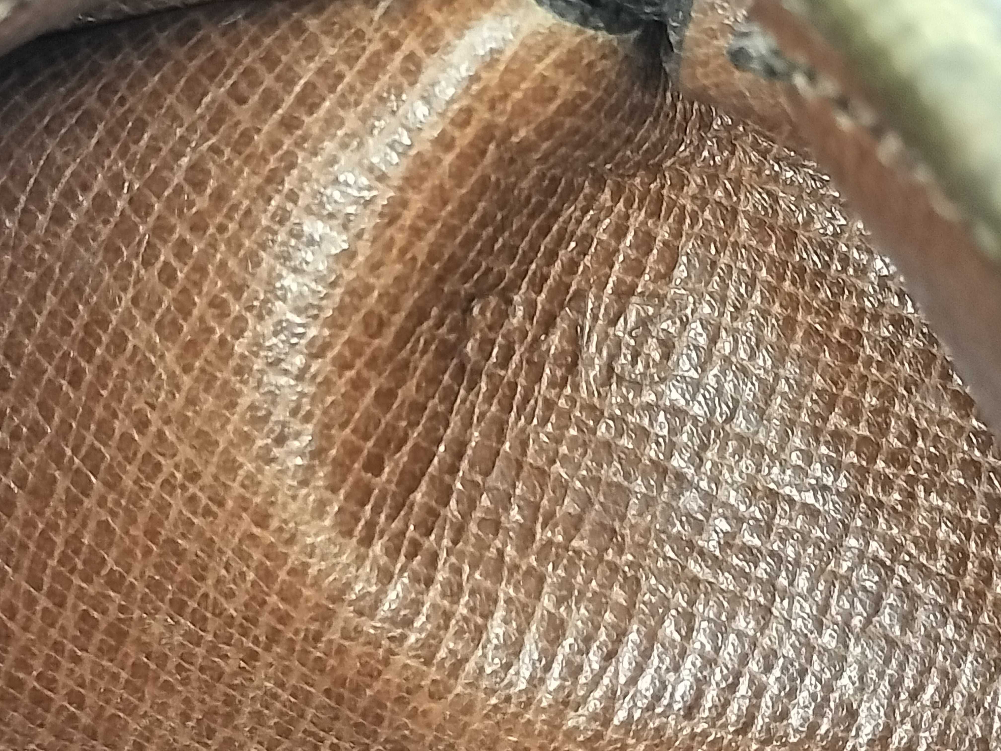 Monogram Papillon 30 M51365 843 Brown Handbag — view 13