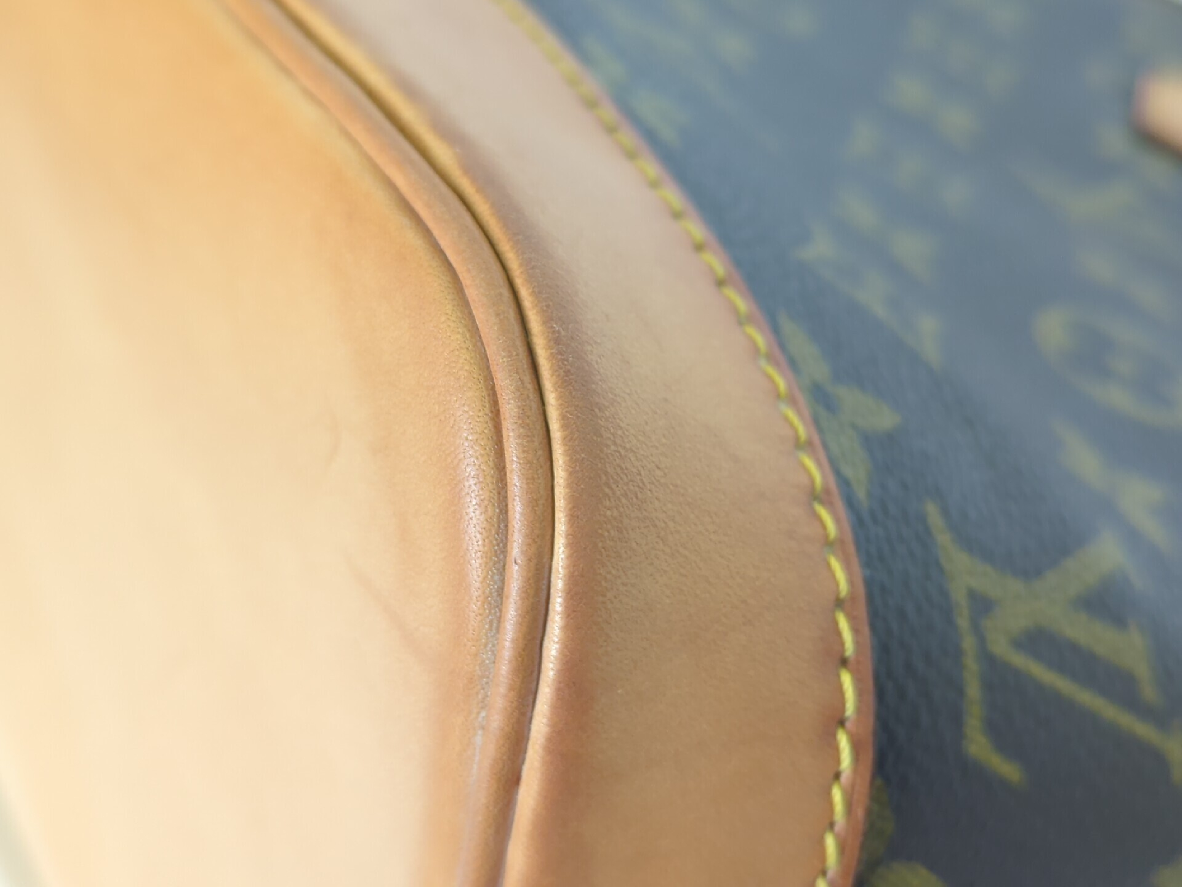 M51130 Monogram Alma PM Handbag — view 4