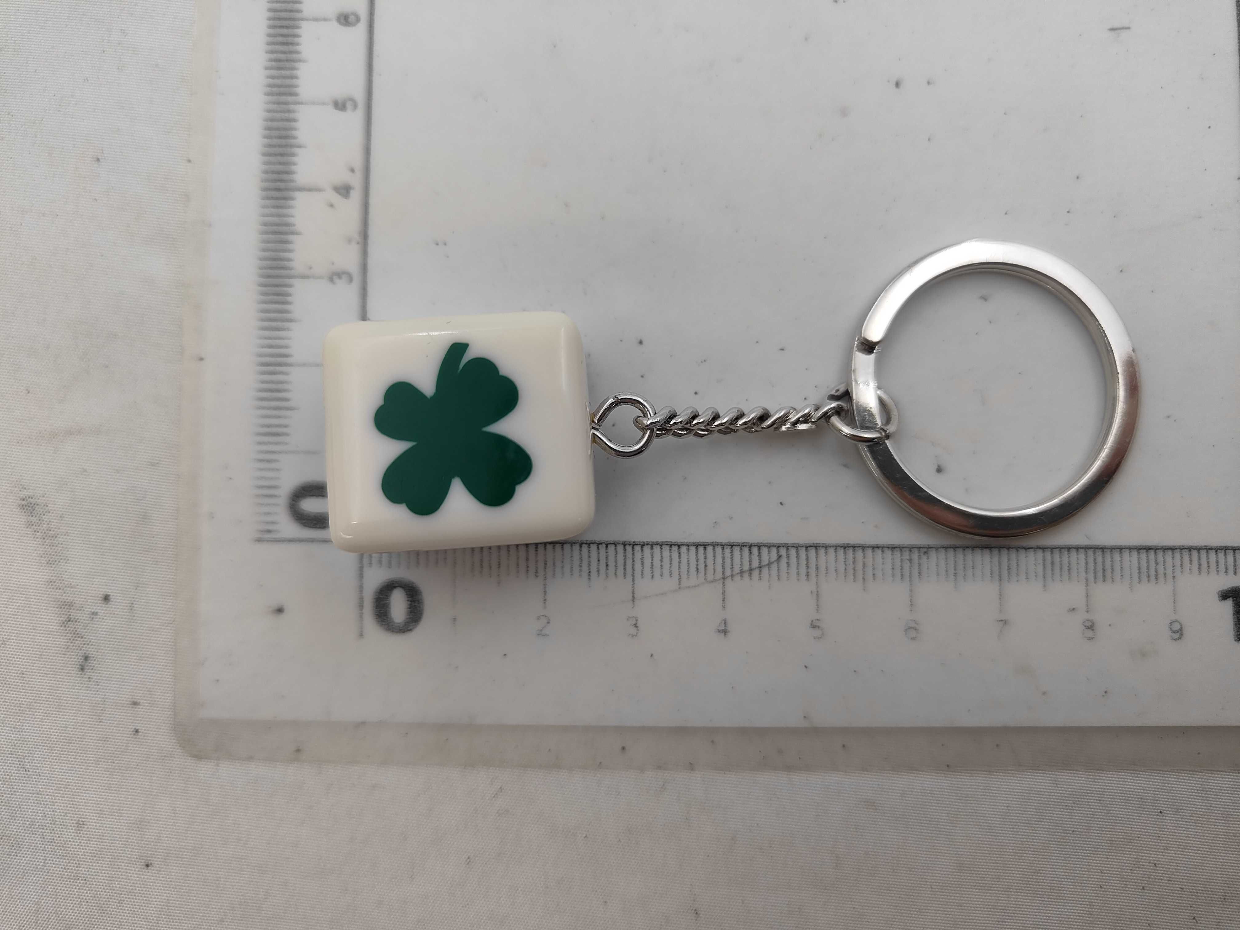 04/P / Keychain / Keyring / Plastic Key Case & Keychain — view 2