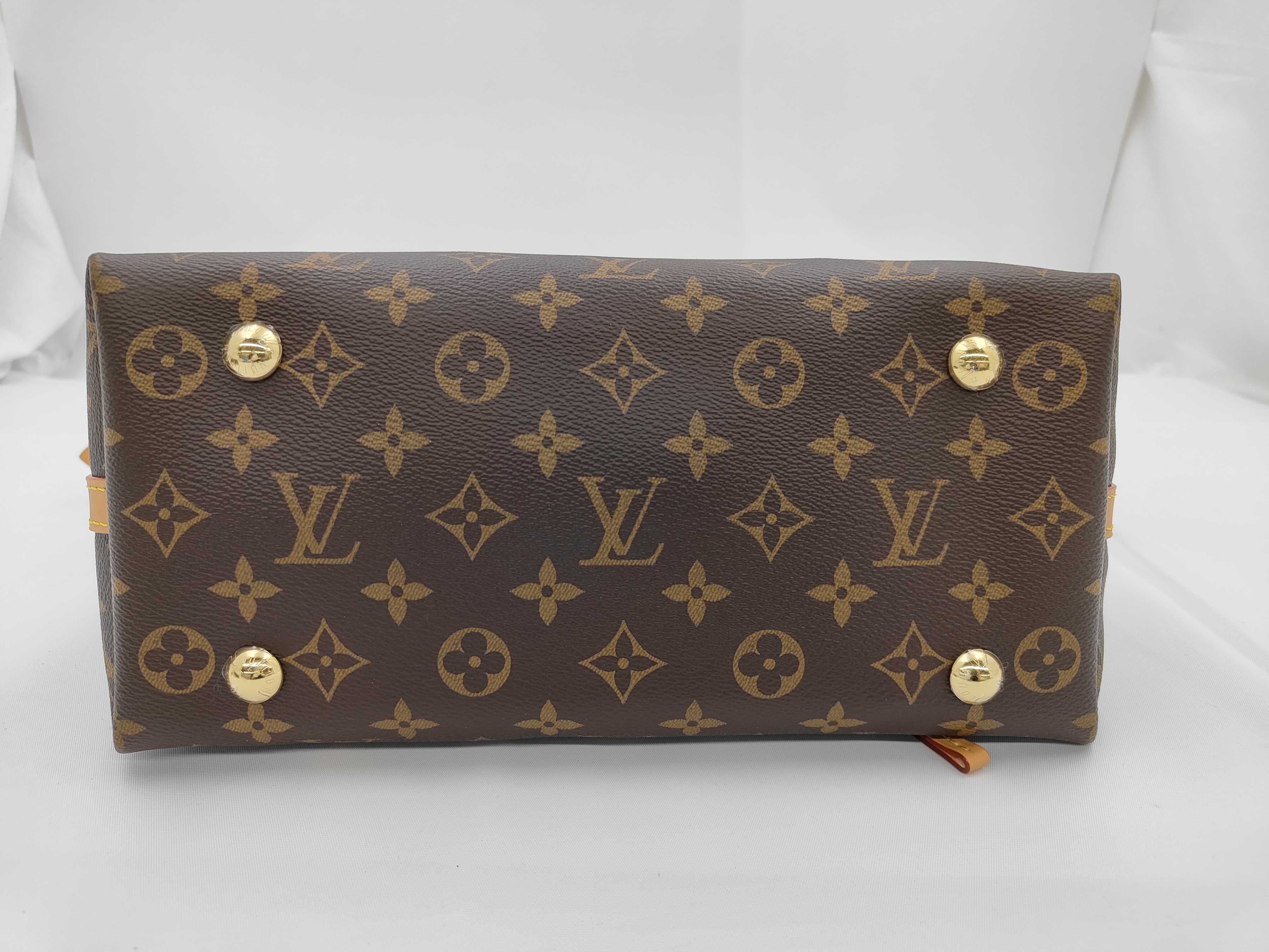 Monogram Carryall PM Shoulder Bag — view 5