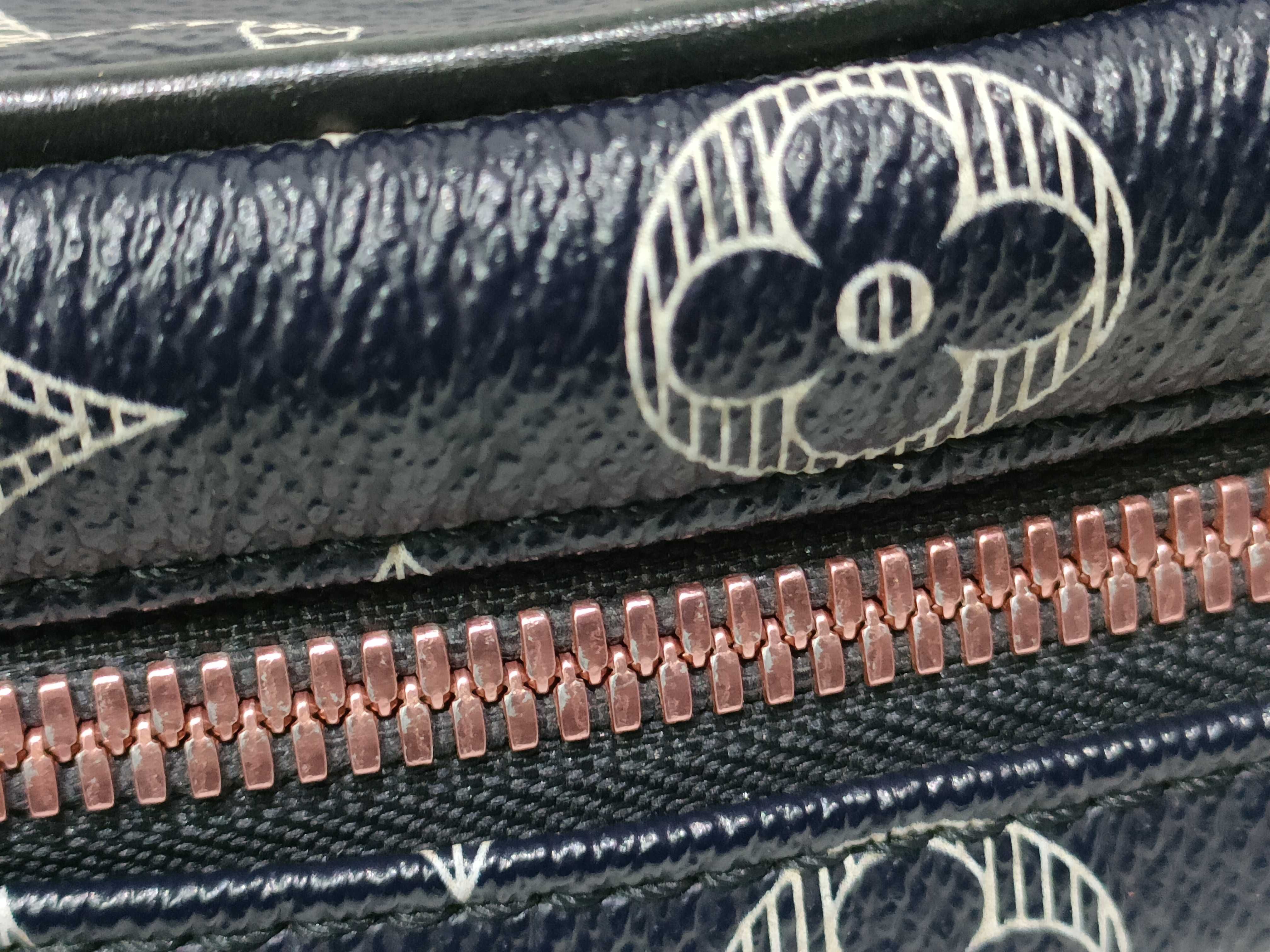Monogram Louis Vuitton Camera Shoulder Bag — view 8