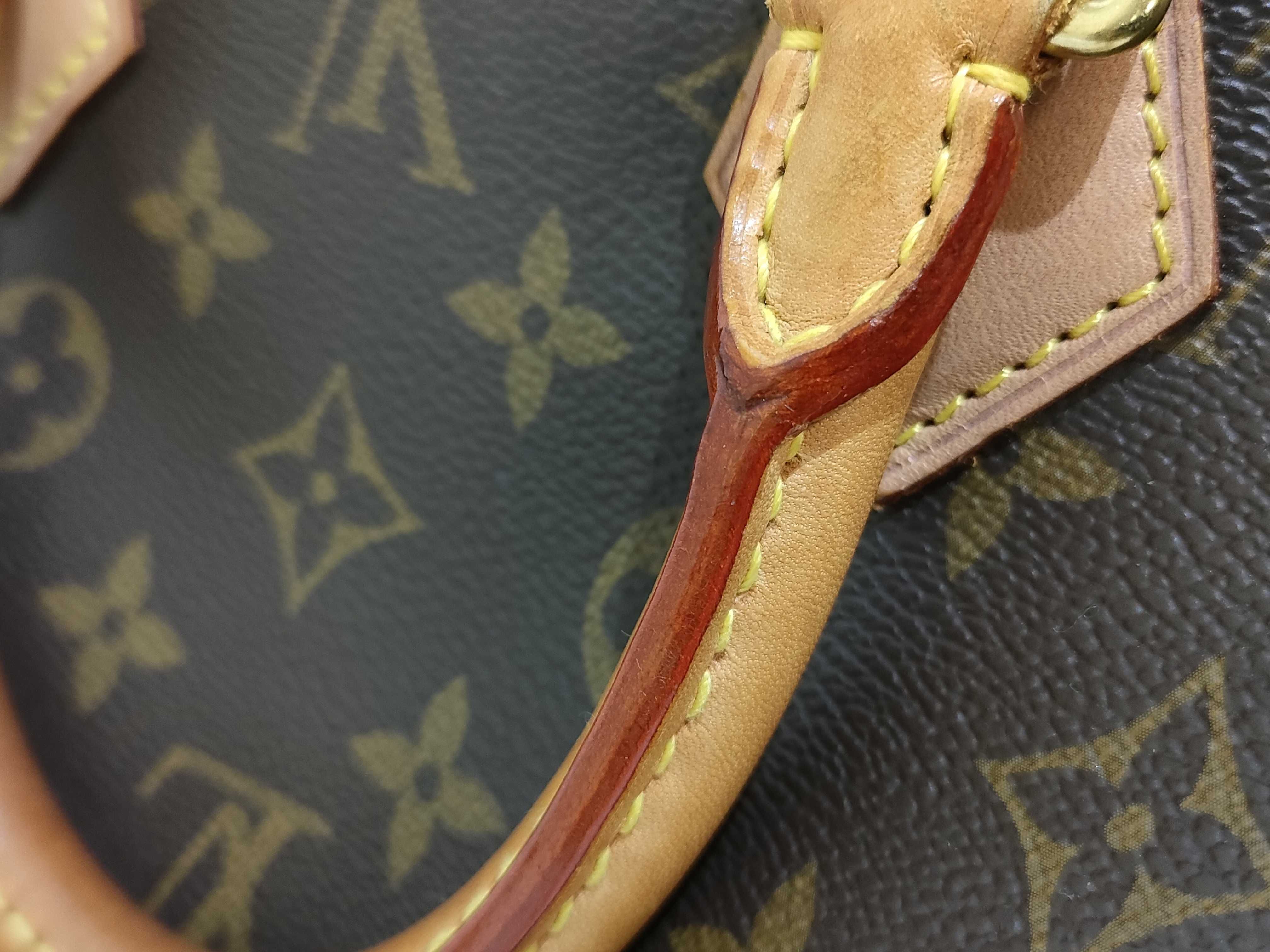 Monogram LV Speedy Handbag — view 14