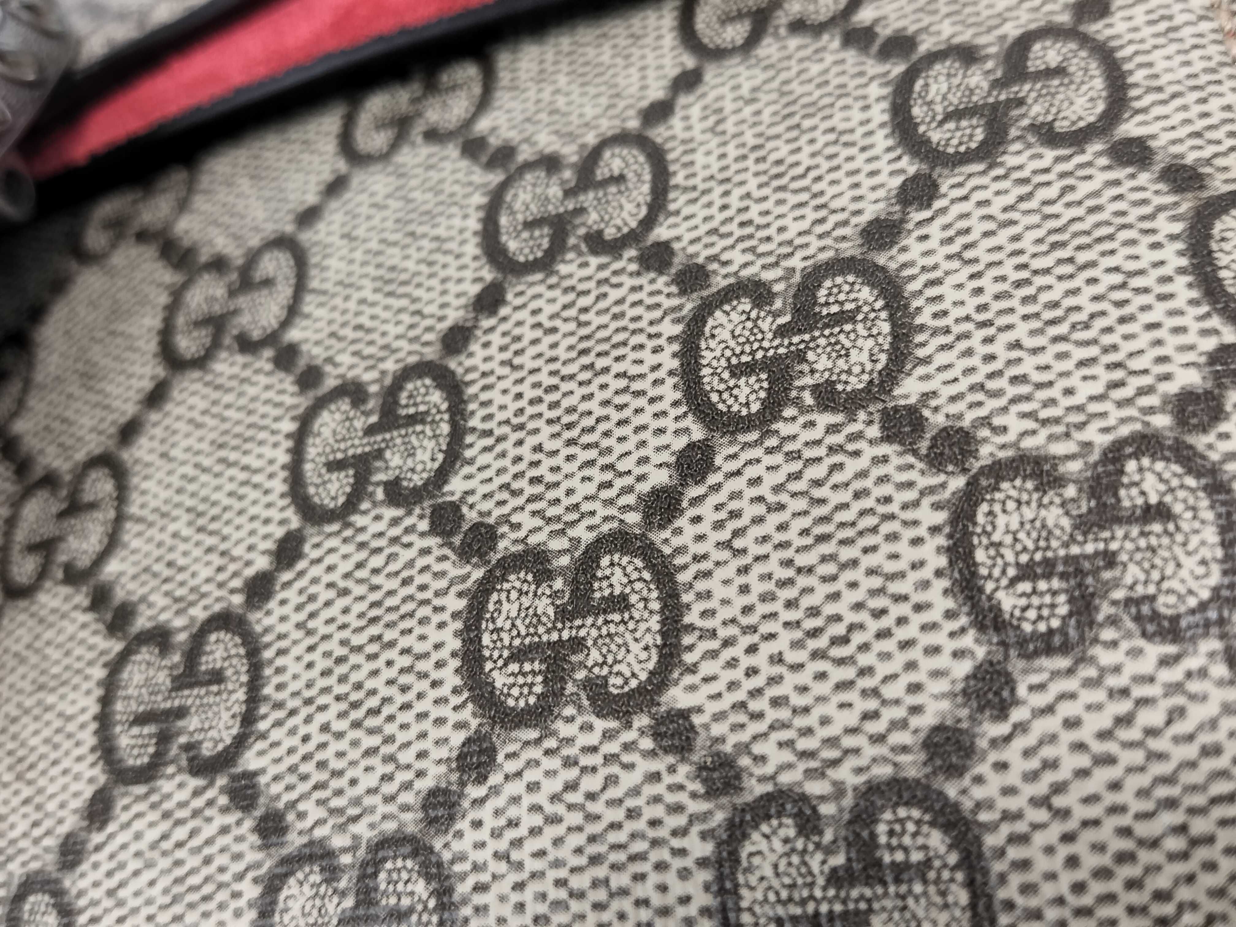 GG Supreme Dionysus PVC x Suede Chain Shoulder Bag Beige x Red 499623 Shoulder Bag — view 15