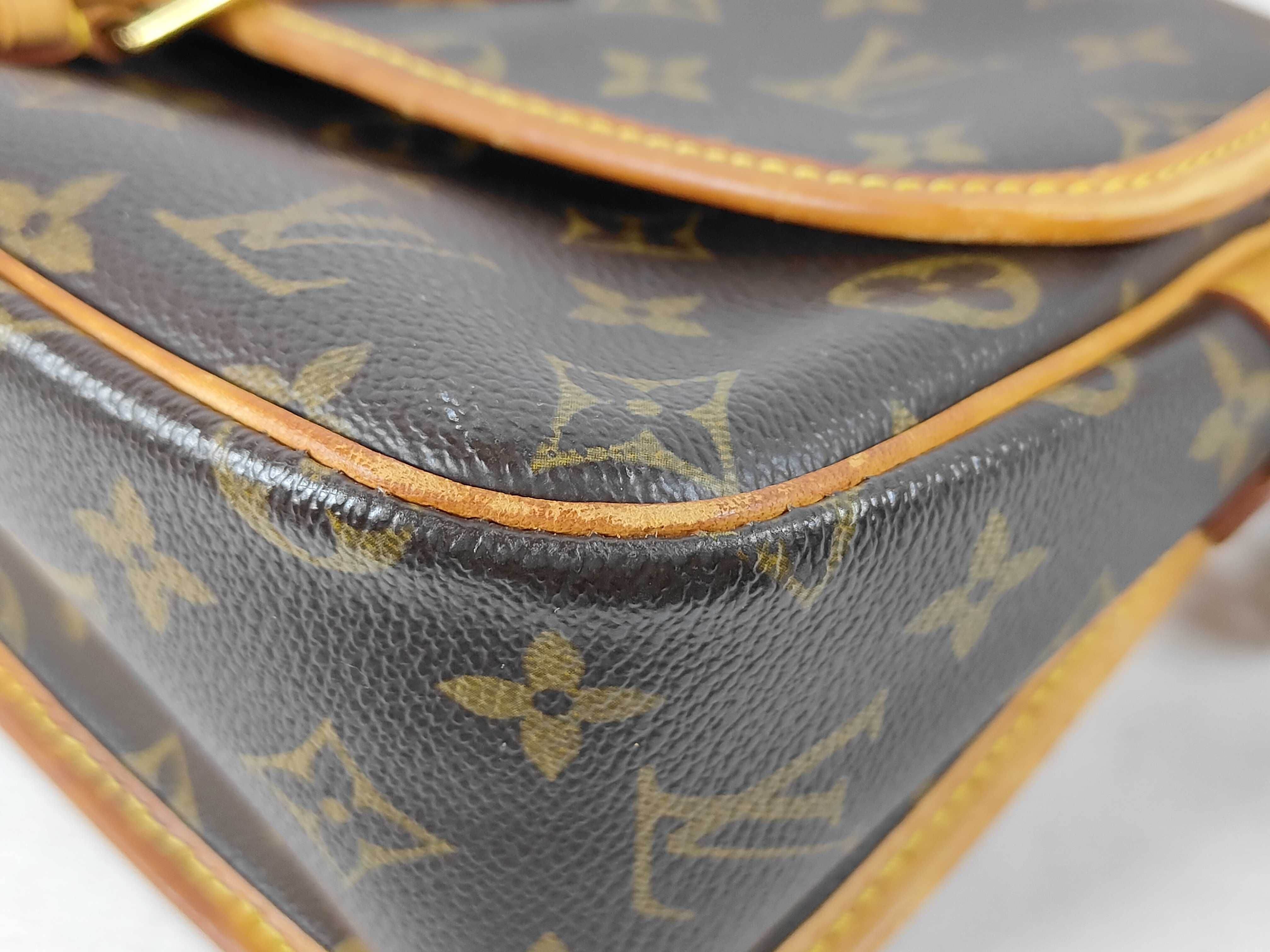Sologne Monogram Shoulder Bag — view 6