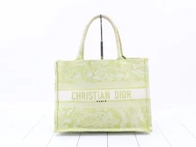 Book Tote Medium Tote Bag, Light Green