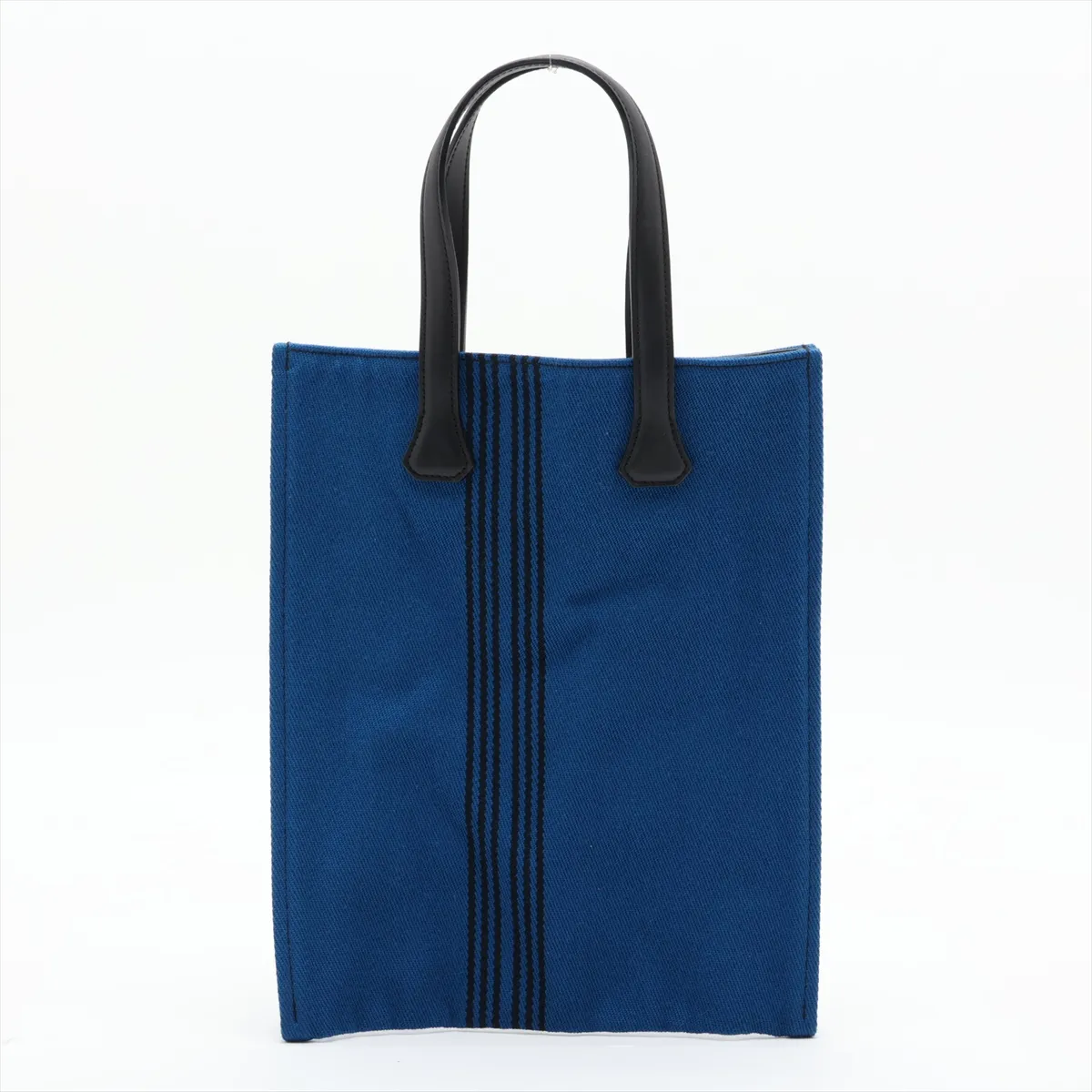 Potamosca Bas PM Canvas Blue