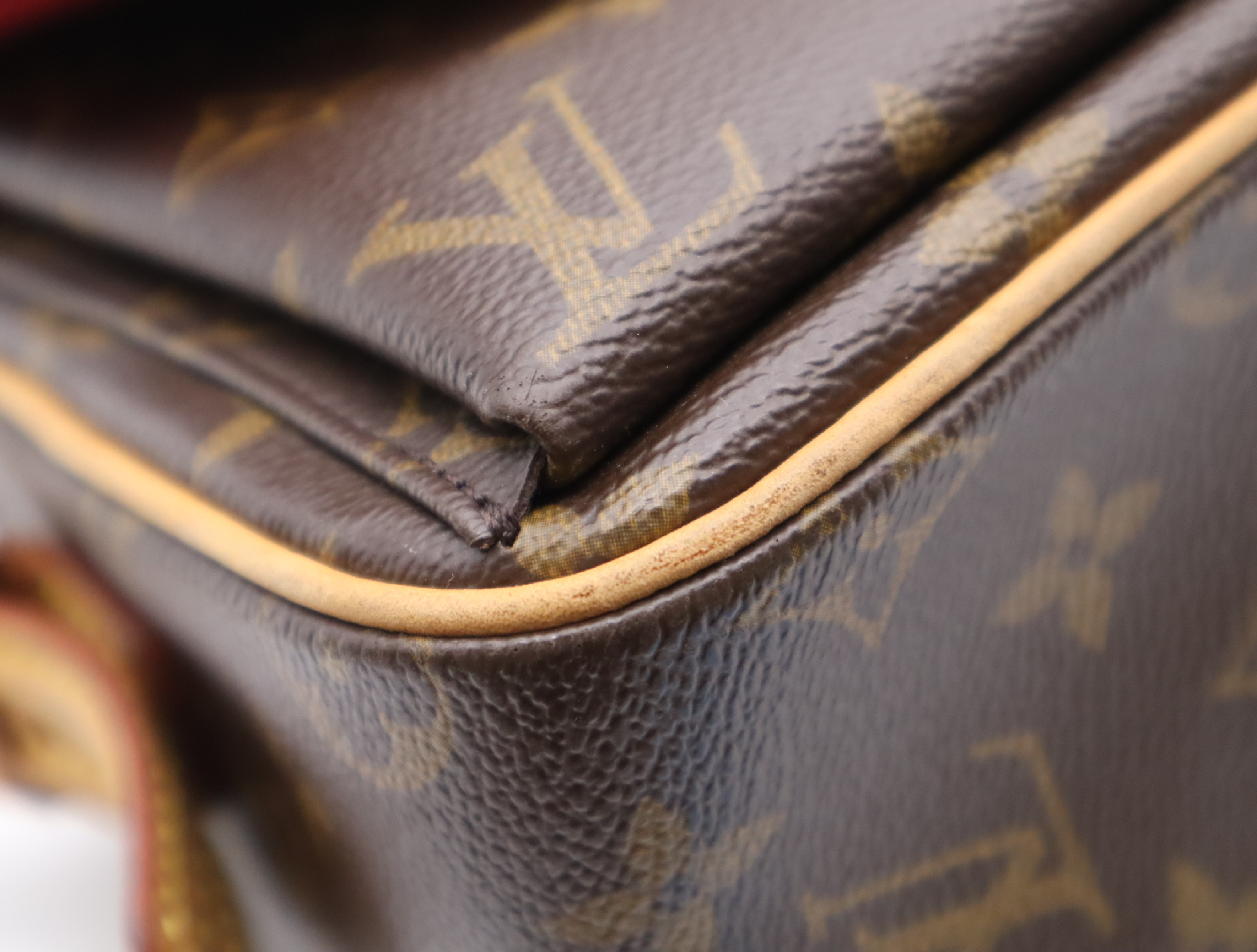 M51164 Monogram Viva Cite MM Shoulder Bag — view 6