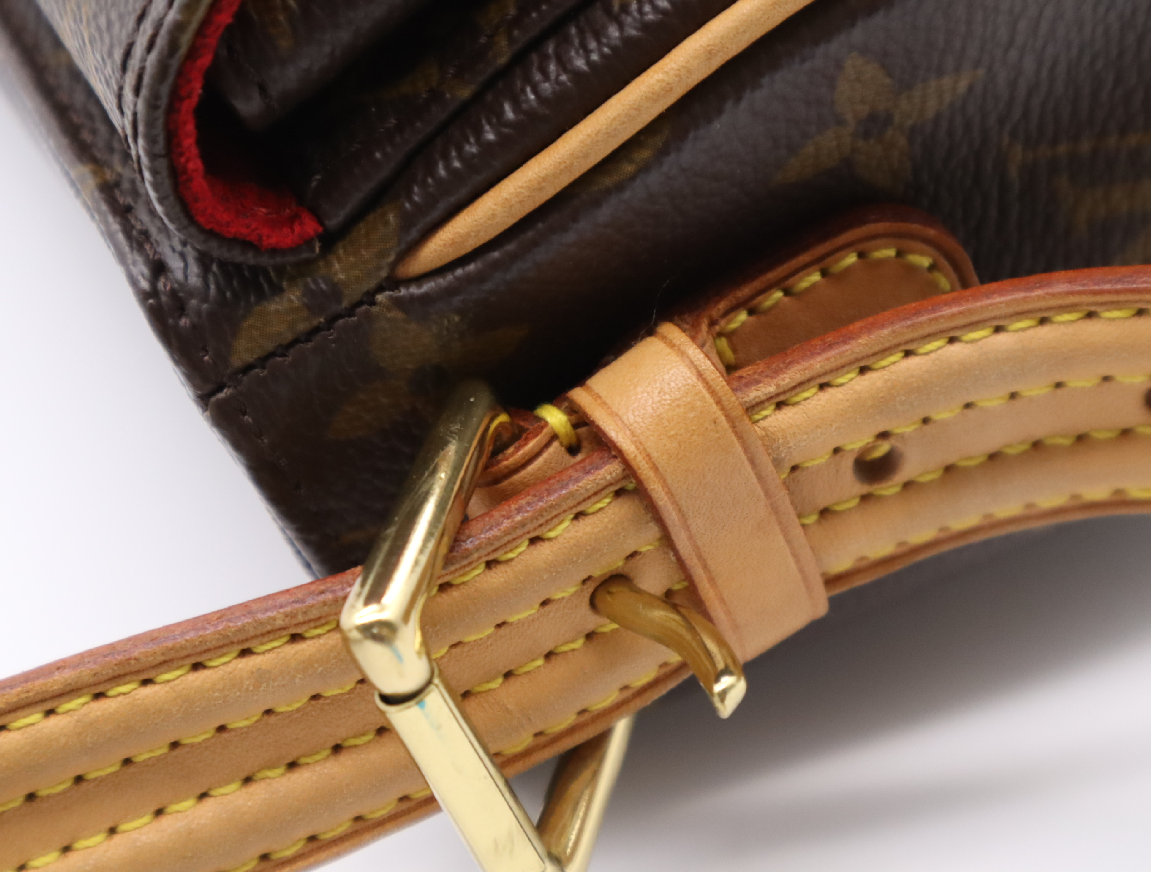 M51164 Monogram Viva Cite MM Shoulder Bag — view 9