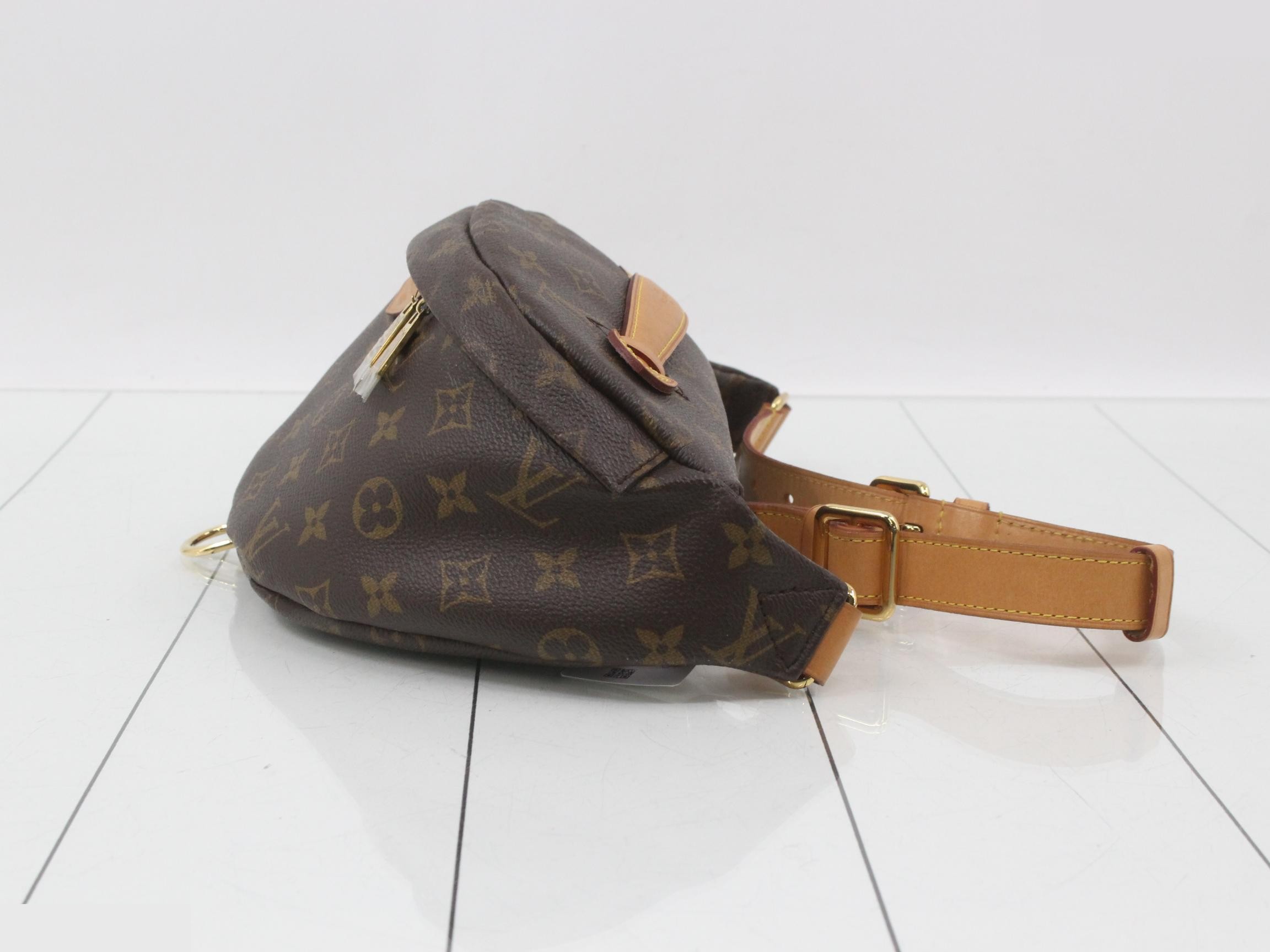 Monogram Bum Bag Waist Bag — view 3