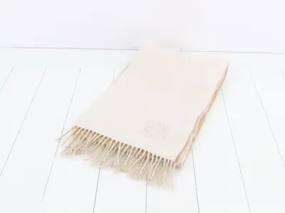 muffler
