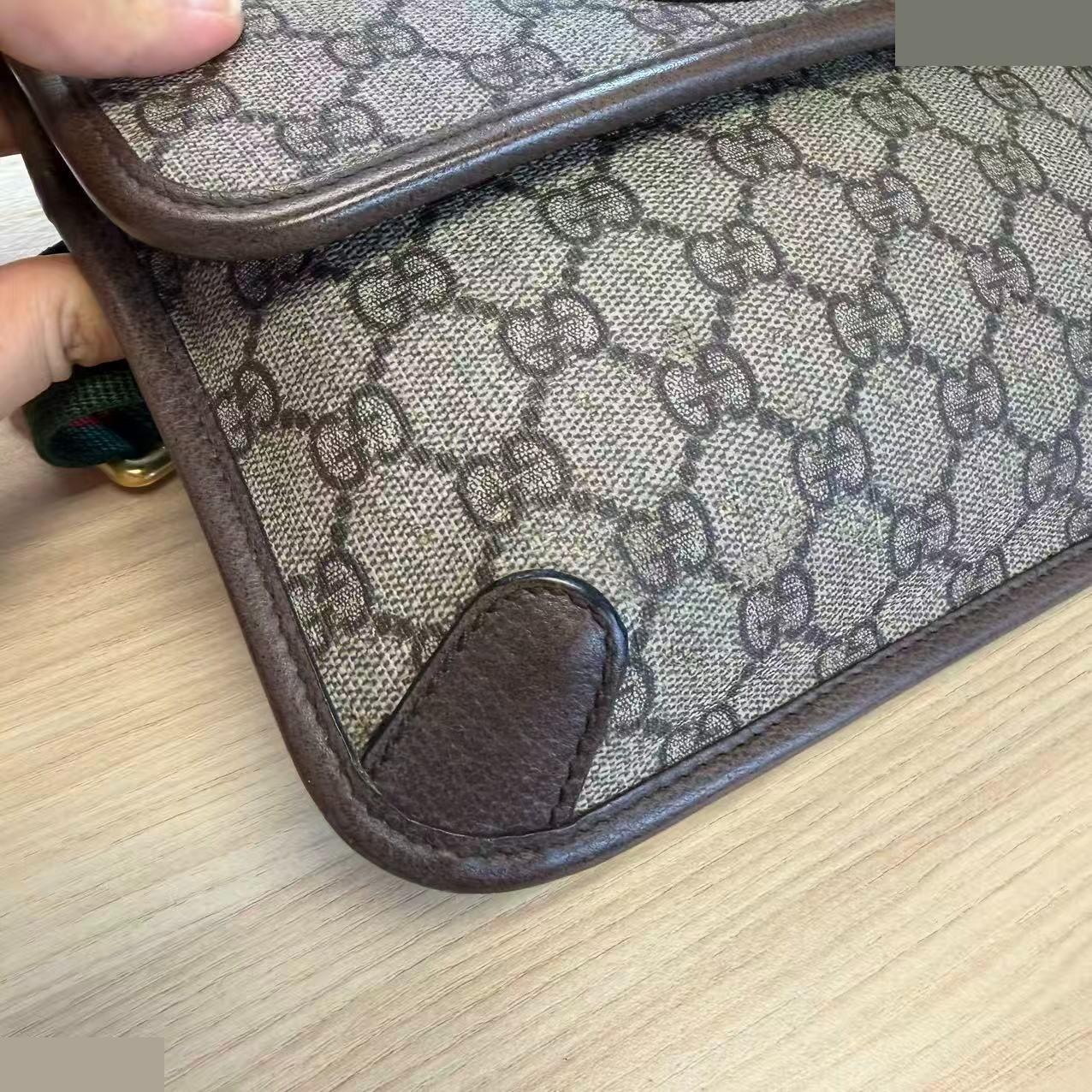 Neo GG Supreme Tiger Belt Bag — view 12