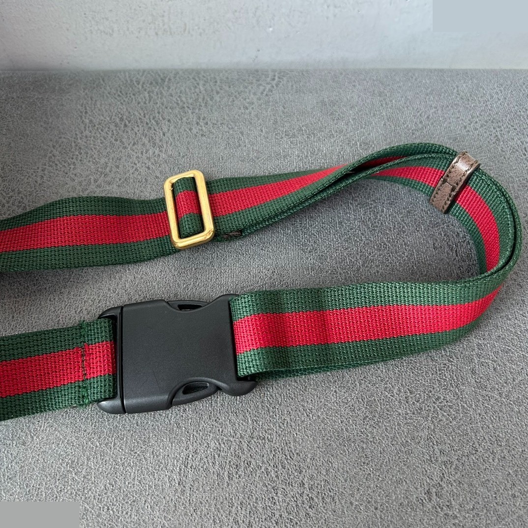 Neo GG Supreme Tiger Belt Bag — view 9
