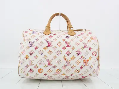 Monogram Watercolor Speedy 35 Handbag