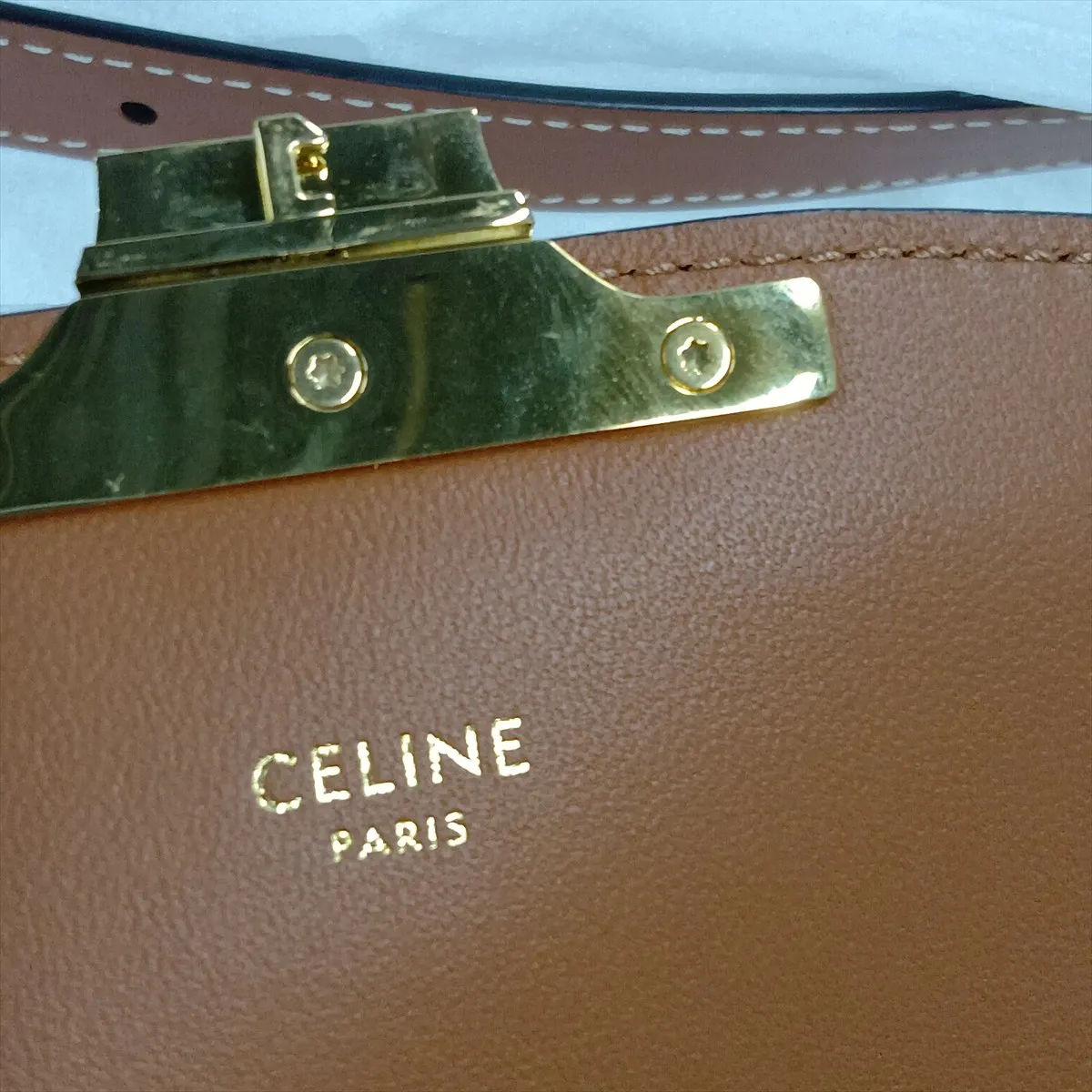 Triomphe Teen PVC Shoulder Bag, Beige x Brown — view 13