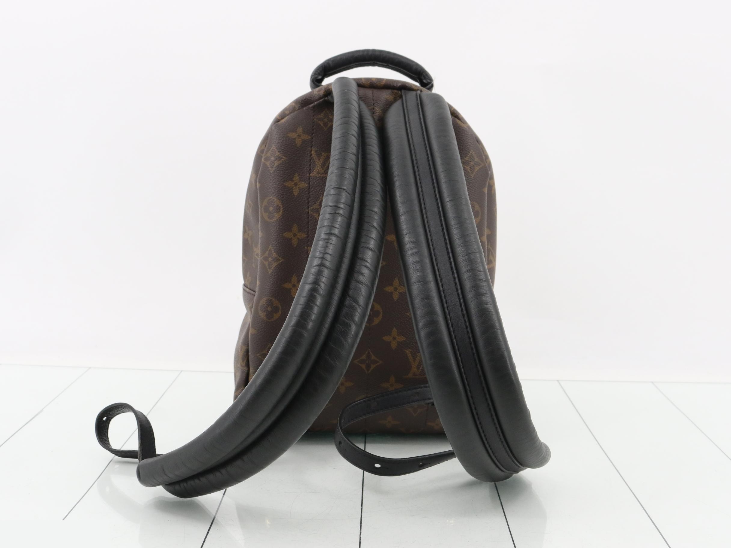 Monogram Palm Springs PM Backpack — view 2