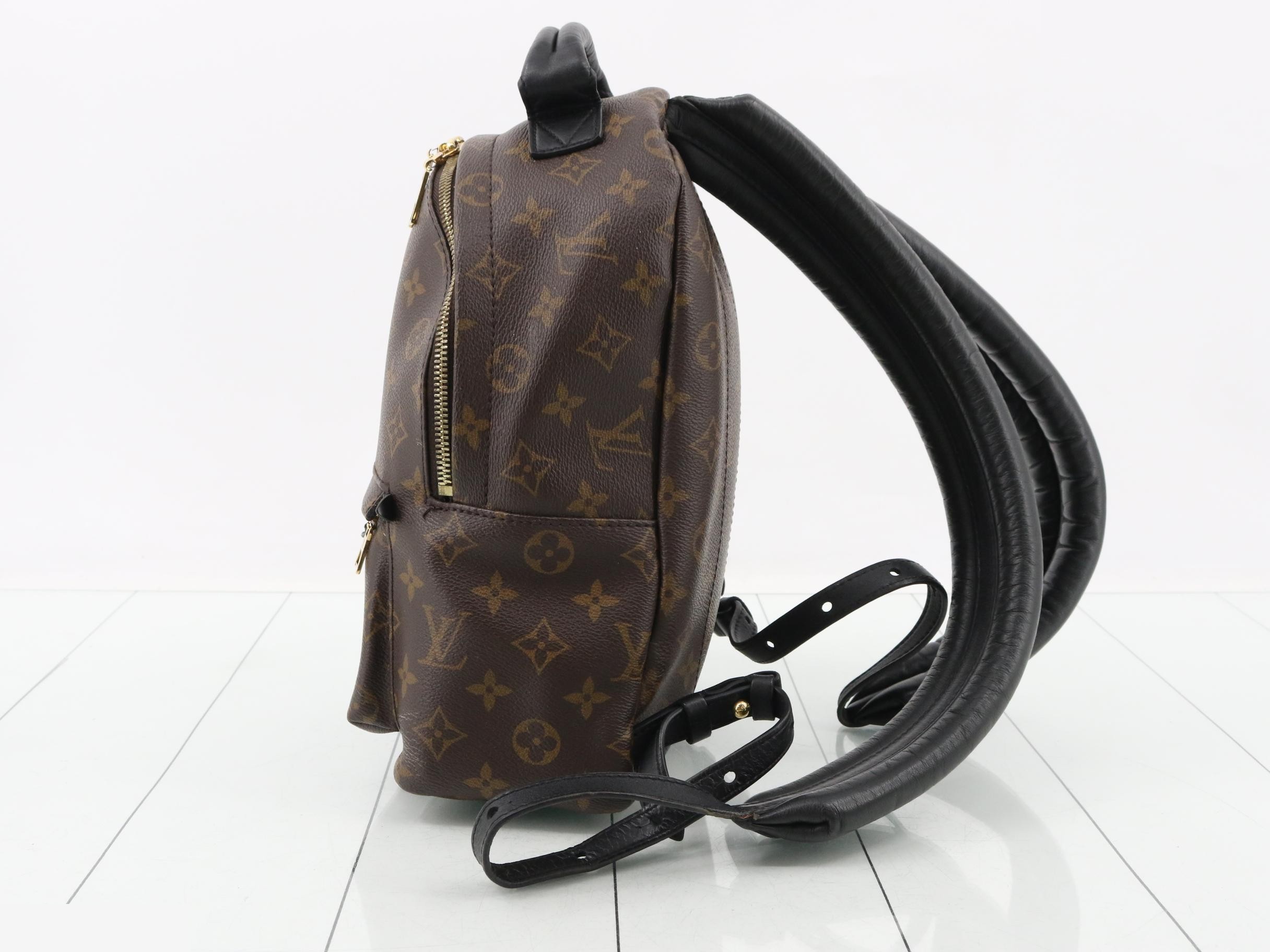 Monogram Palm Springs PM Backpack — view 3