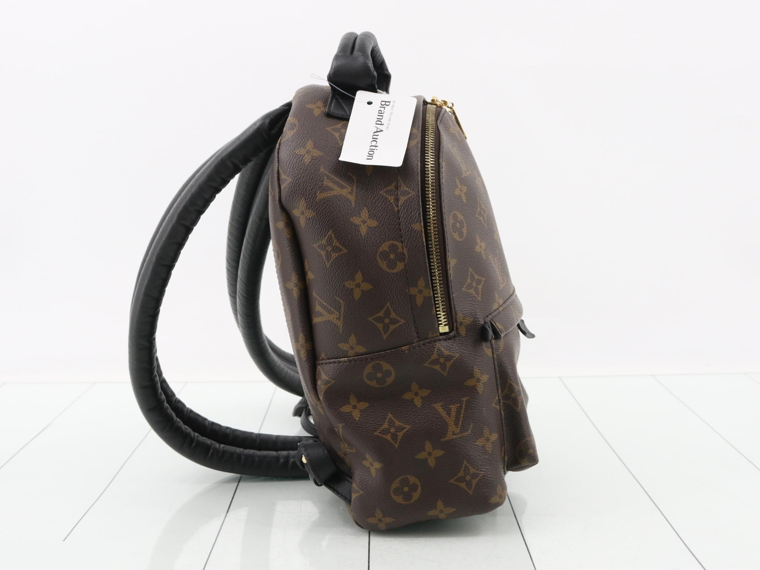 Monogram Palm Springs PM Backpack — view 4