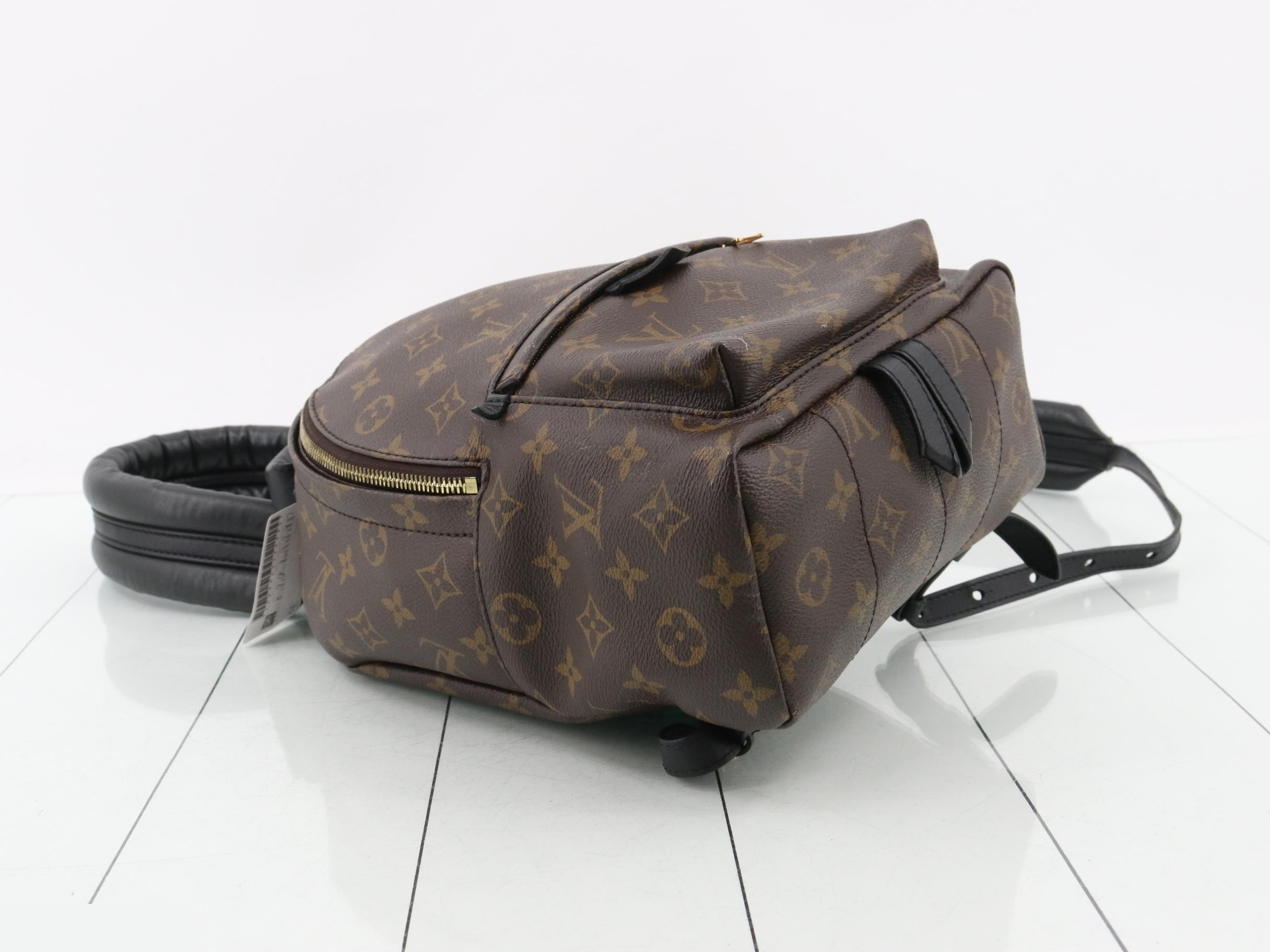 Monogram Palm Springs PM Backpack — view 5