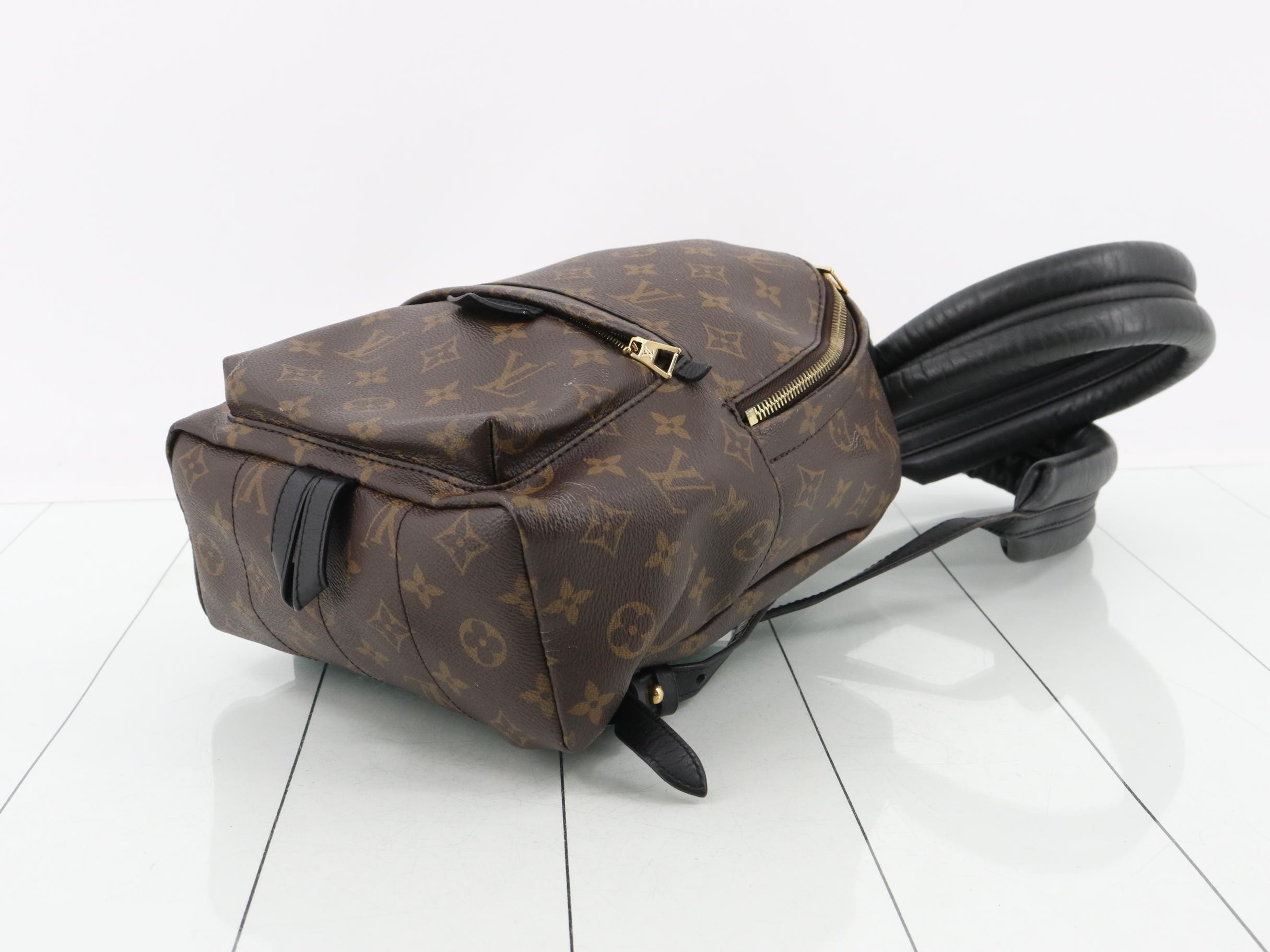 Monogram Palm Springs PM Backpack — view 6