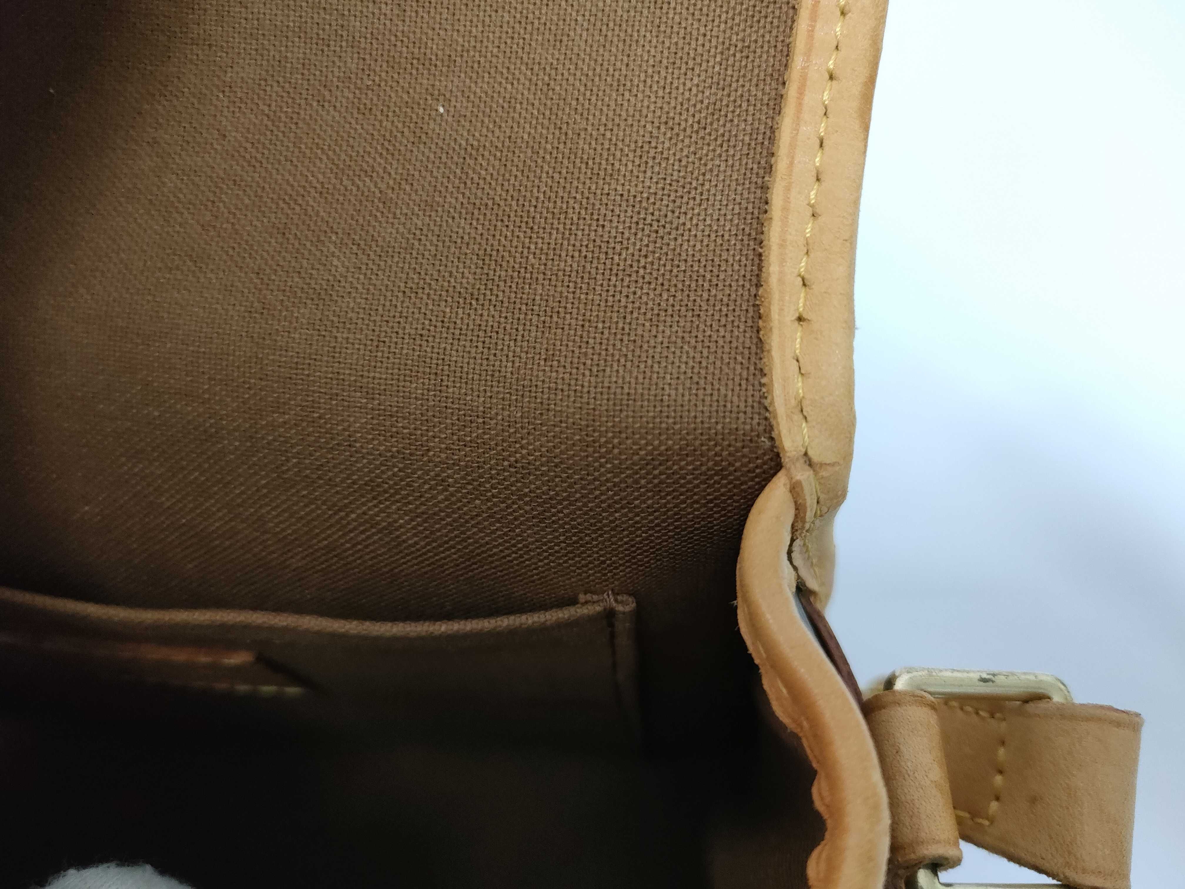 Monogram Sologne Shoulder Bag — view 9