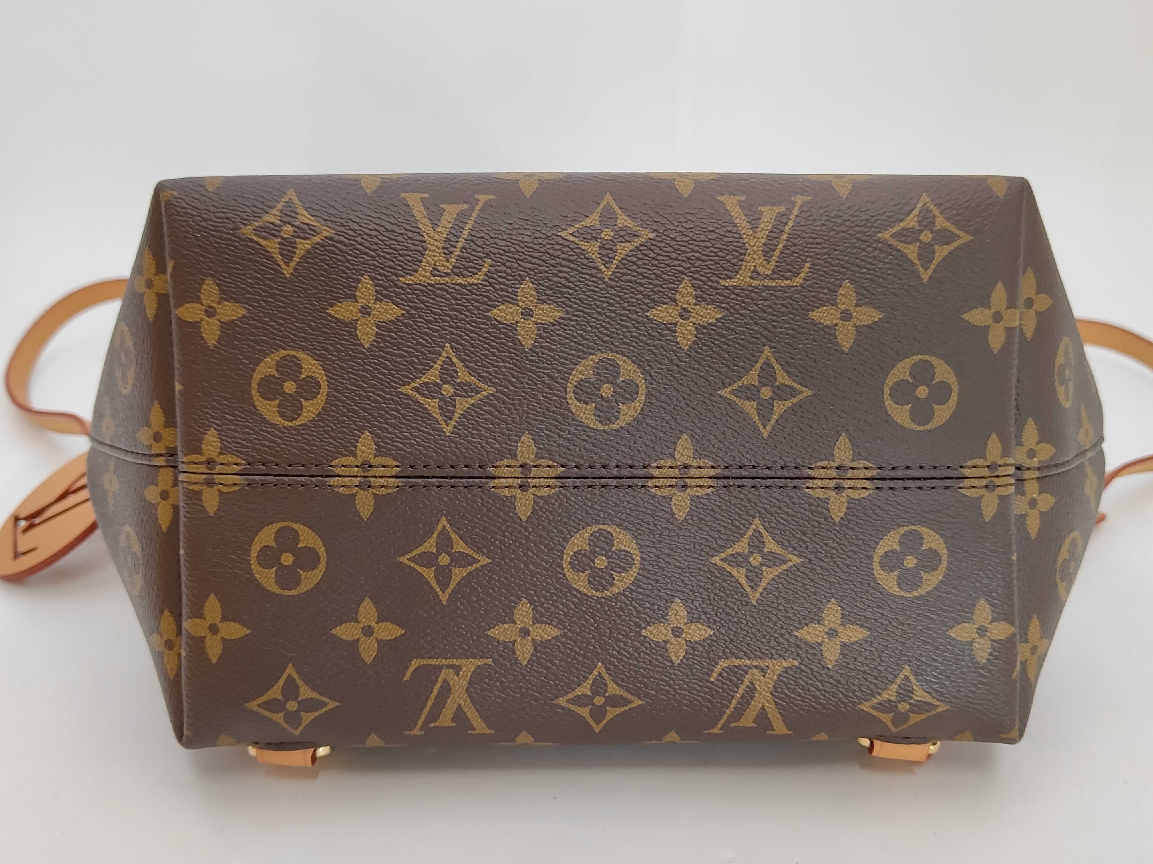 LV Backpack — view 6