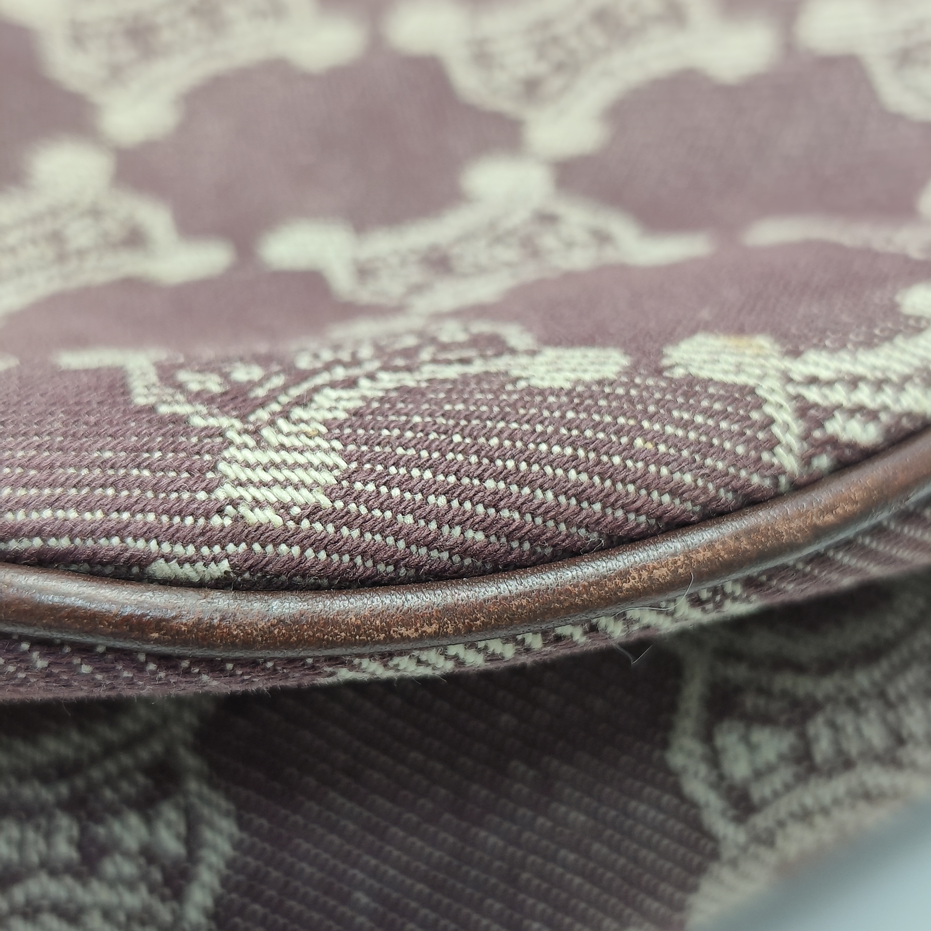【*Shipped from: China*】CELINE Canvas Handbag — view 12
