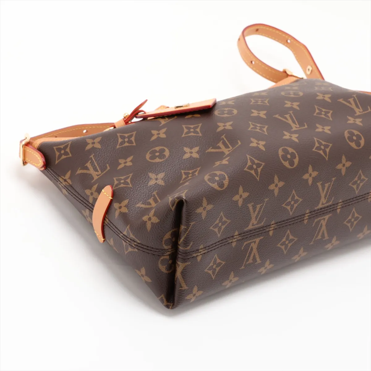 Monogram Carryall EW M28101 Brown (RFID detected) — view 4