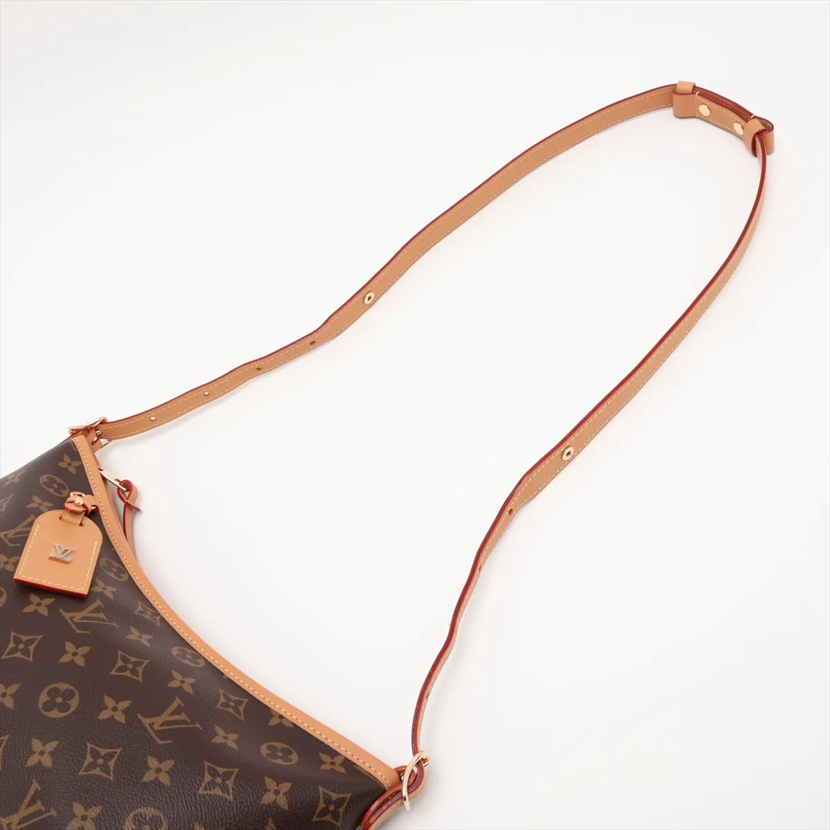 Monogram Carryall EW M28101 Brown (RFID detected) — view 5