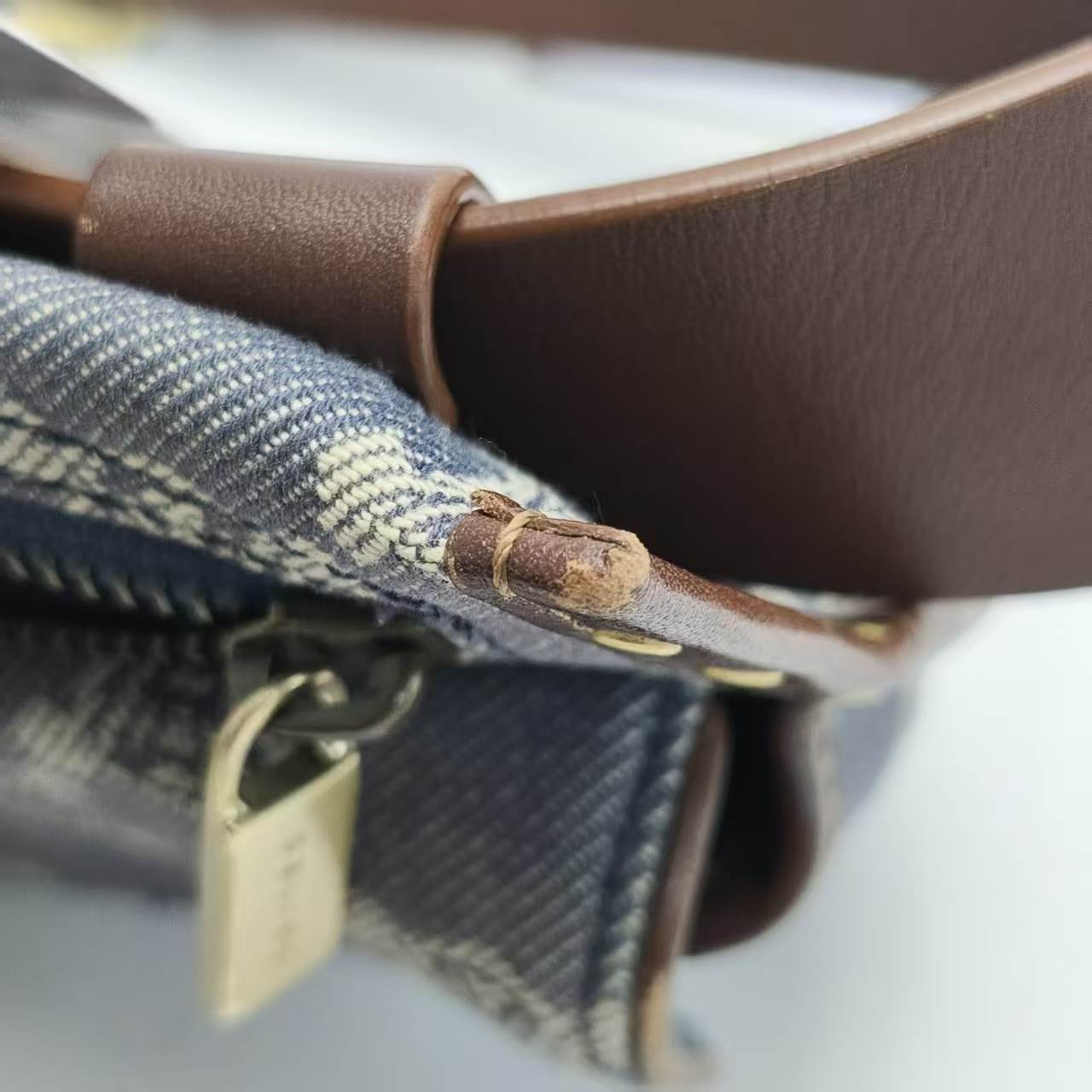 【*Shipped from: China*】CELINE Canvas Shoulder Bag — view 11