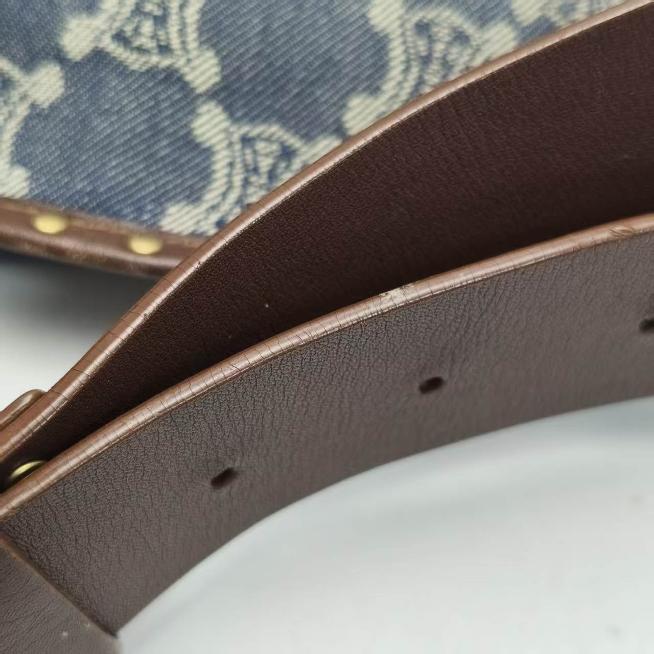 【*Shipped from: China*】CELINE Canvas Shoulder Bag — view 13