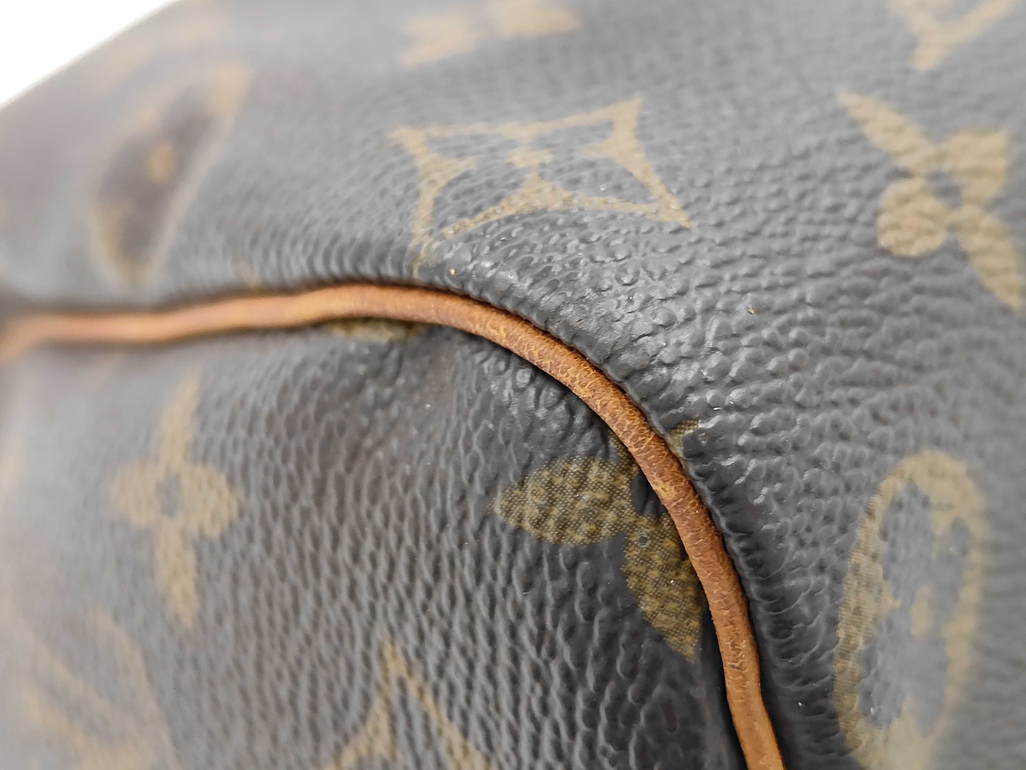 Monogram LV Speedy Handbag — view 7