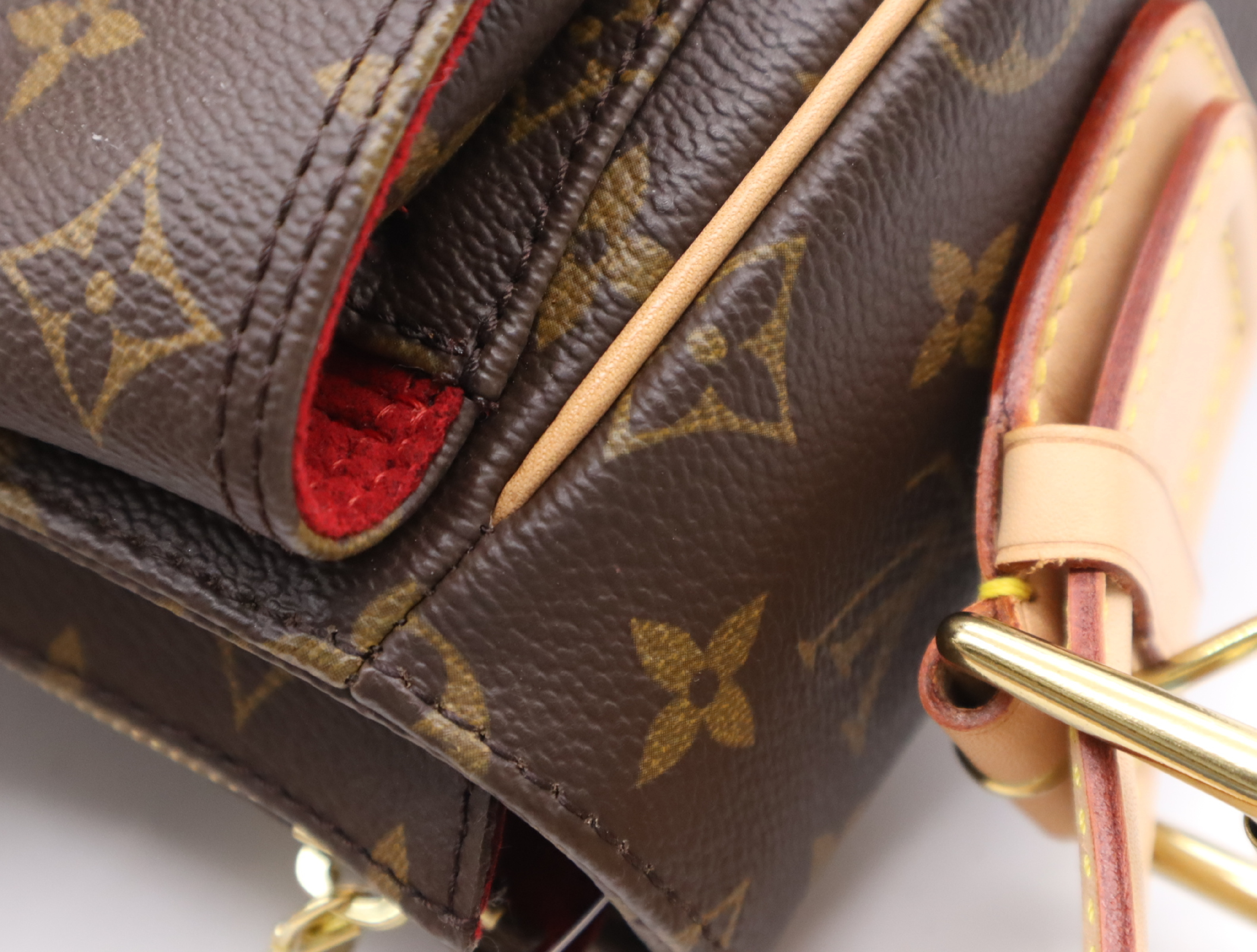 M51163 Monogram Viva Cite GM Handbag — view 9