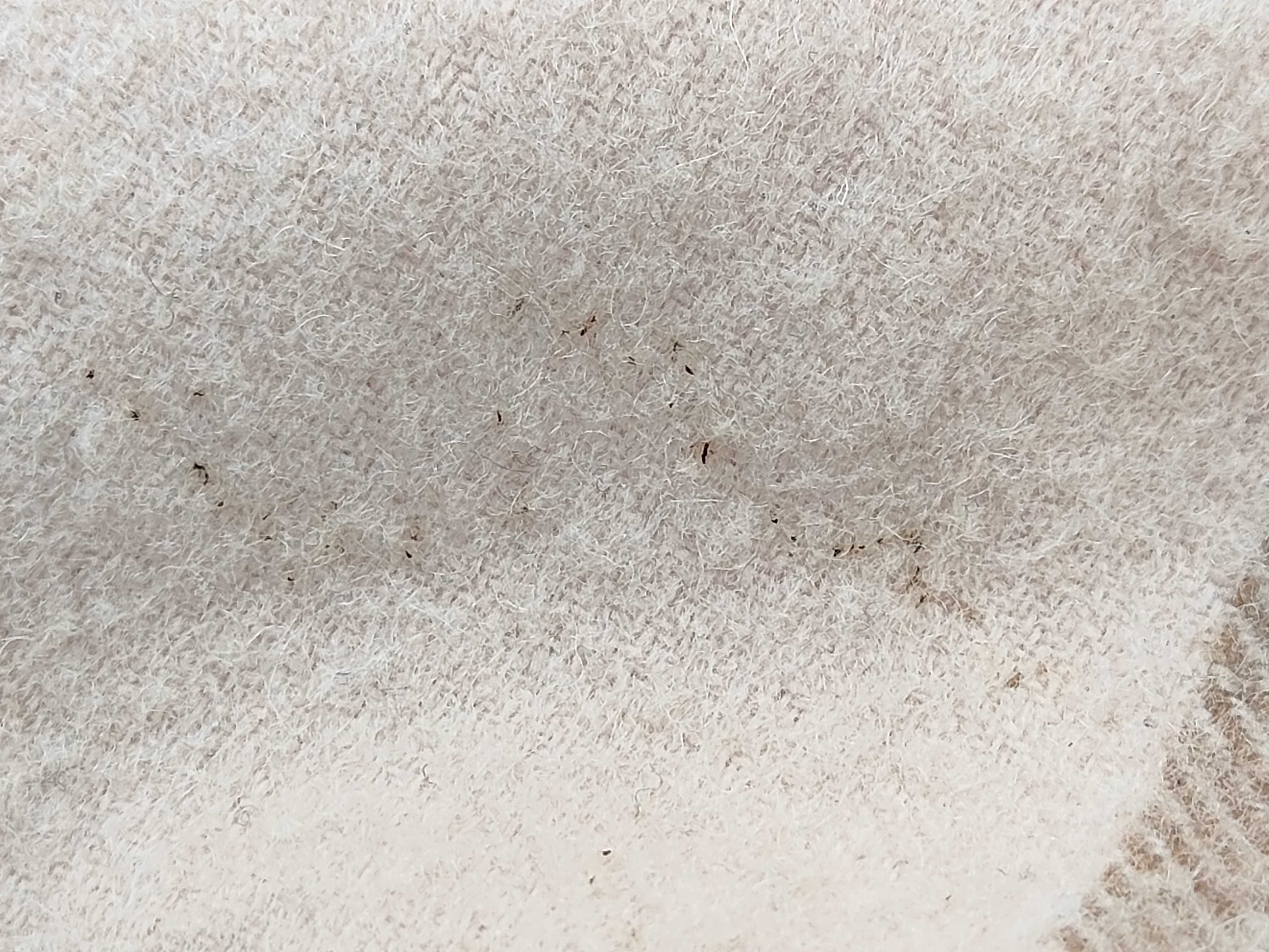 muffler and other accessories — view 7