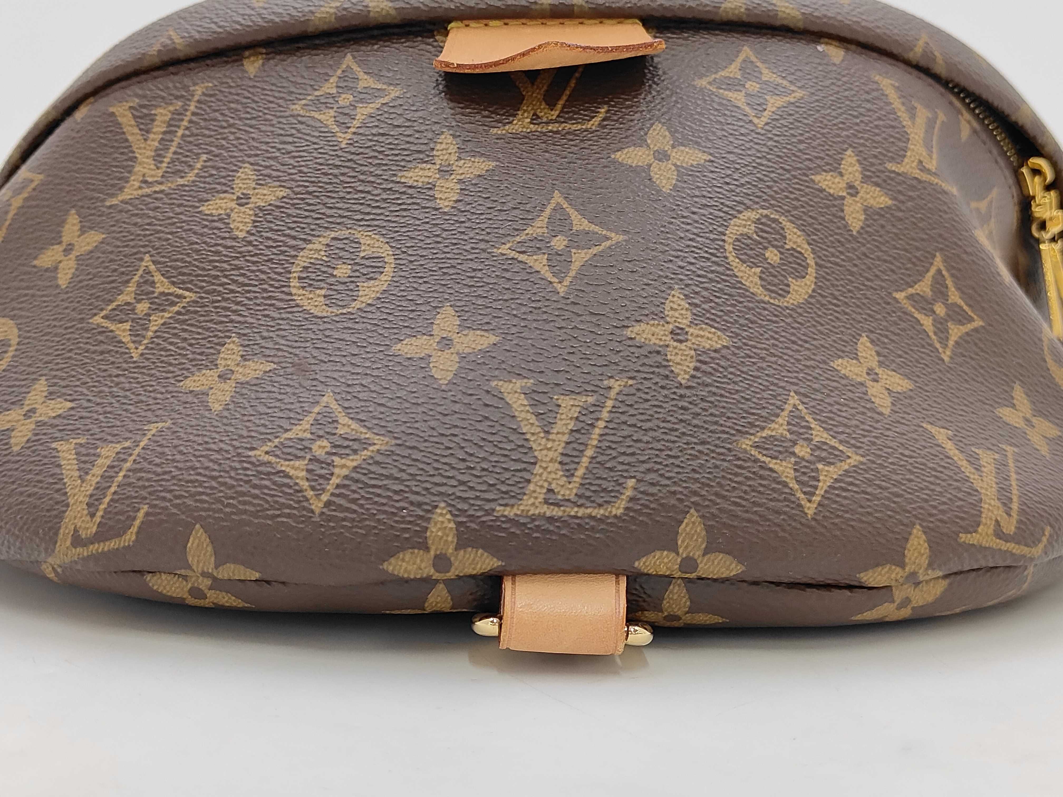 Monogram Bum Bag Shoulder Bag Waist Bag — view 4