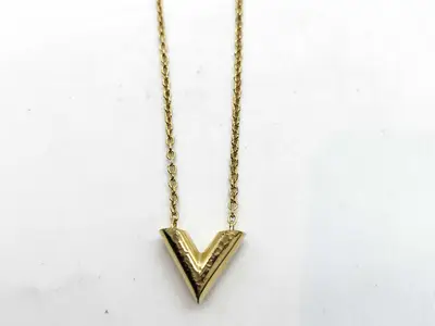 Essential V Necklace