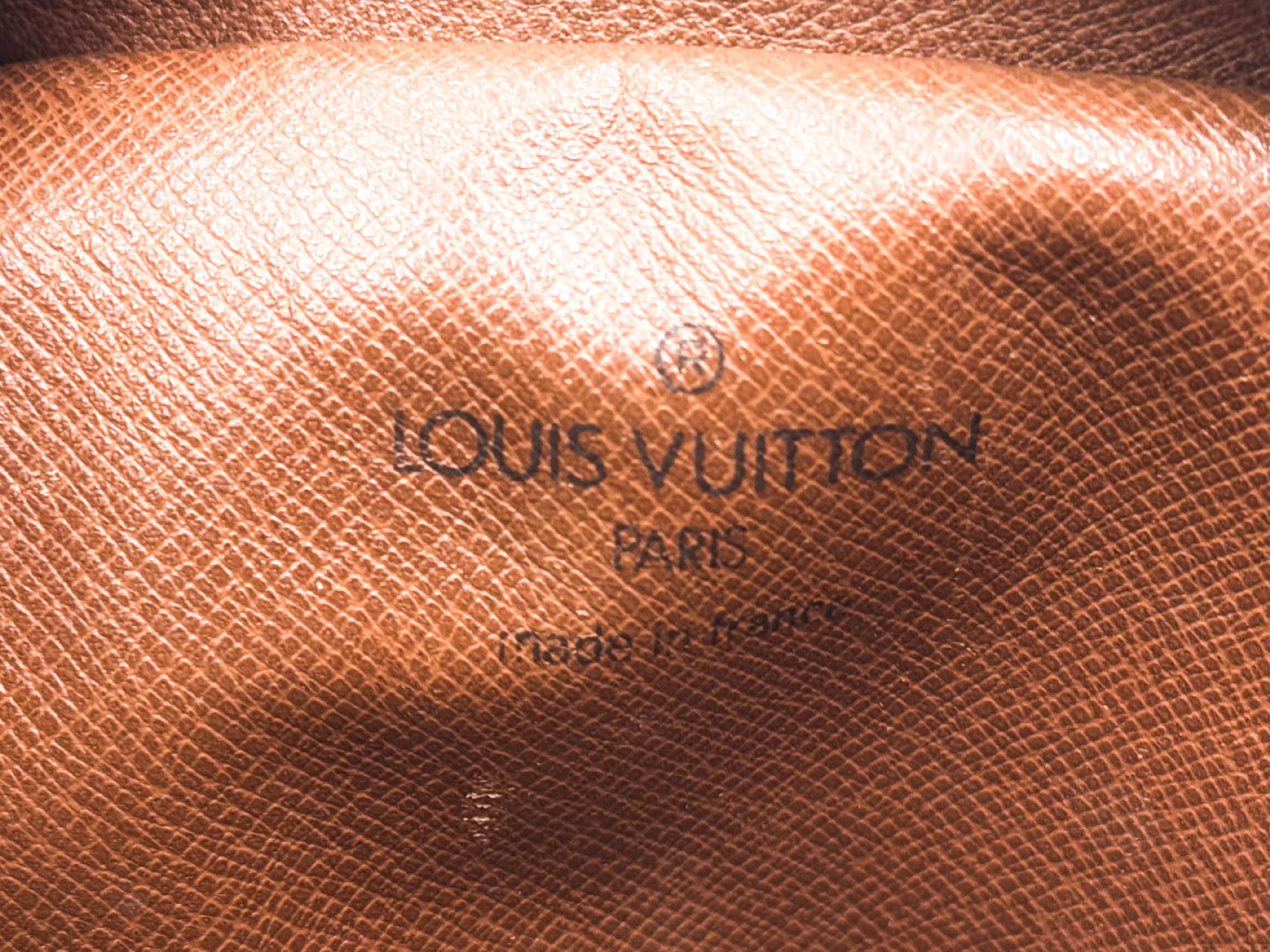 Monogram Mini Danube Shoulder Bag — view 10