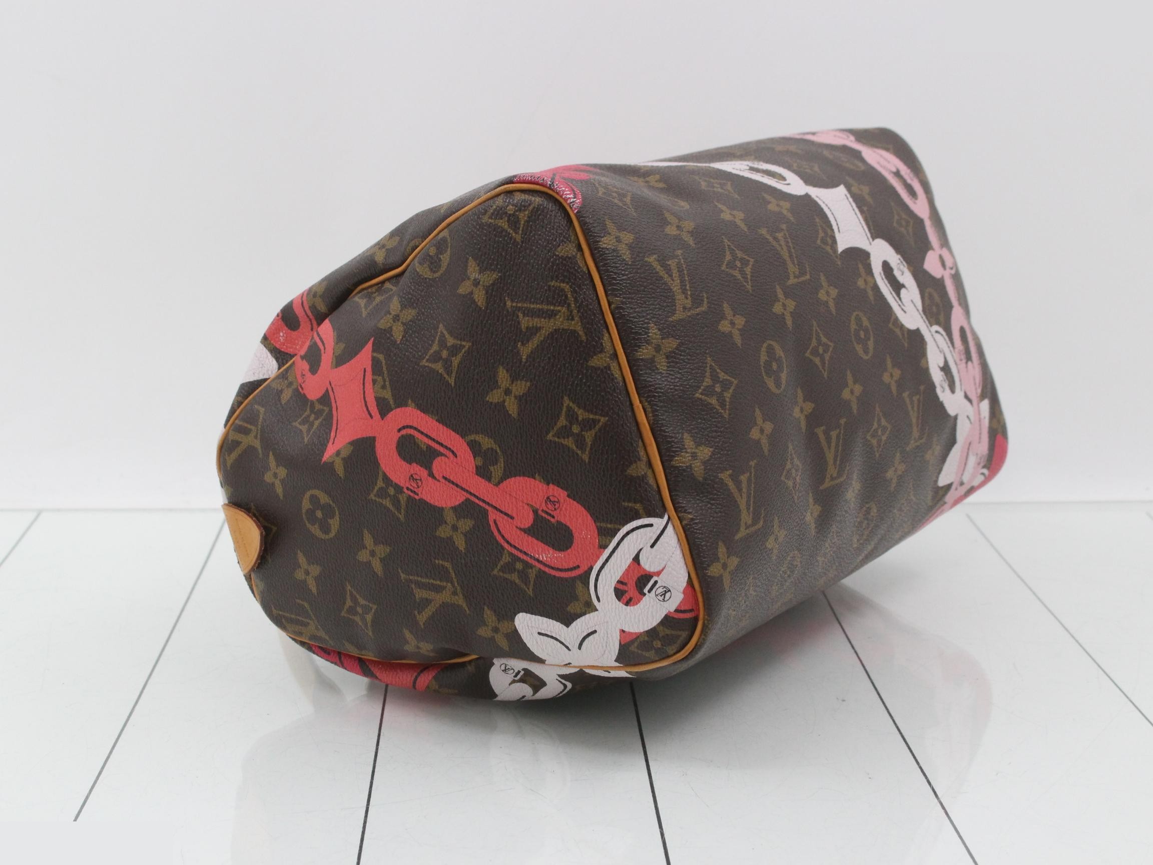 Monogram Bay Chain Pattern Speedy 30 M41989 — view 5