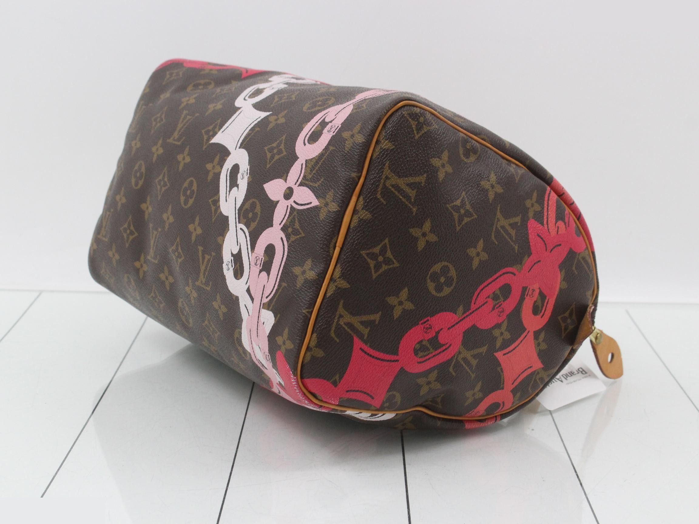Monogram Bay Chain Pattern Speedy 30 M41989 — view 6