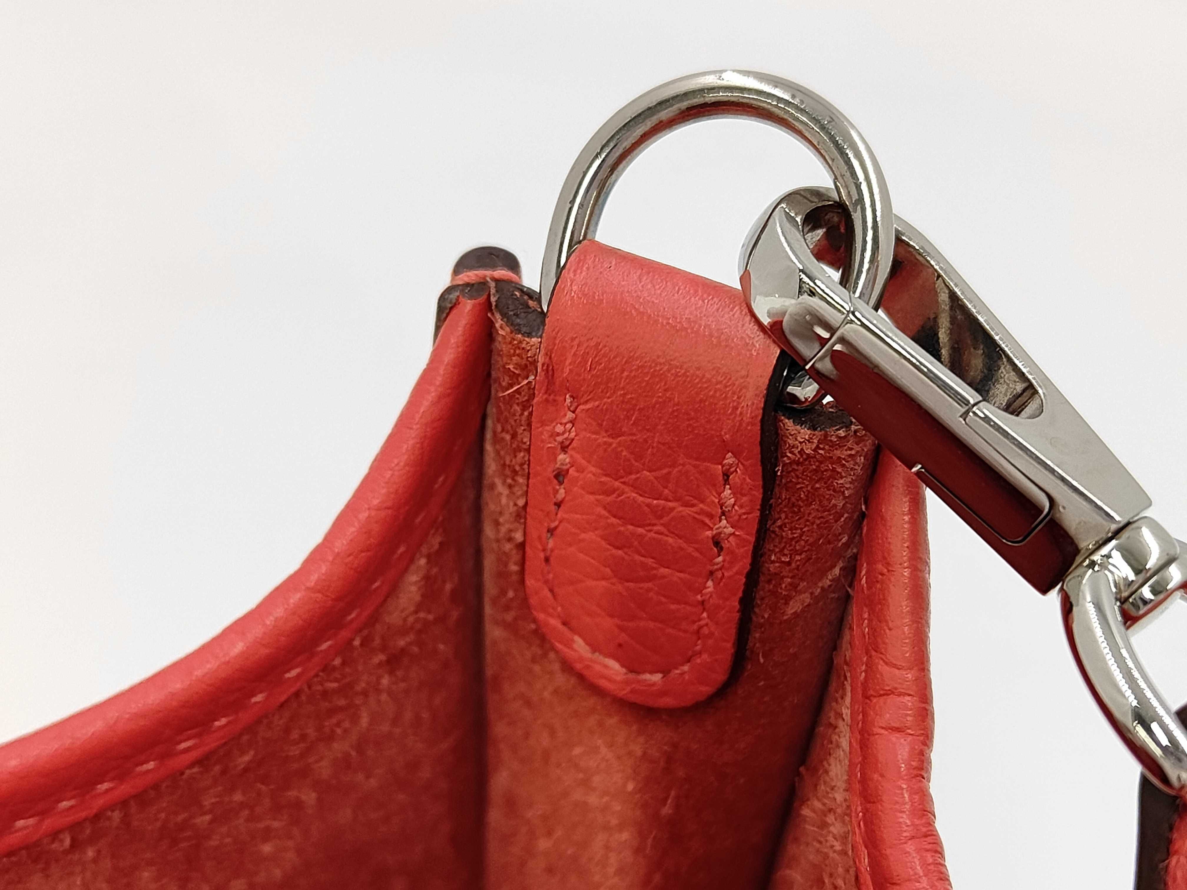 Evelyne TPM Shoulder Bag — view 11