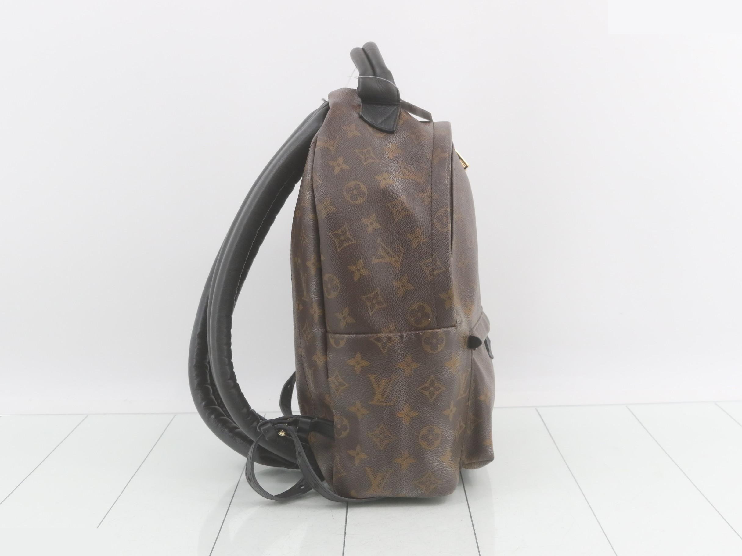 LV Monogram Palm Springs MM Backpack — view 4